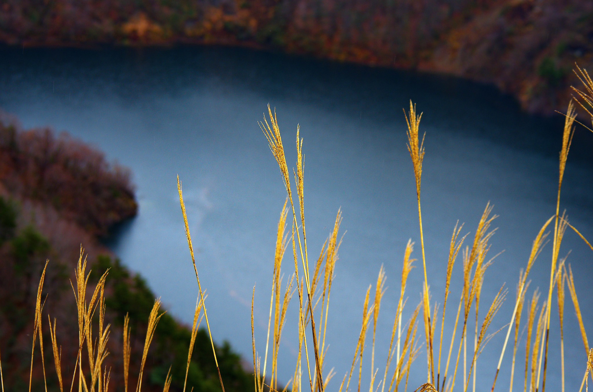 Pentax K-5 II + smc PENTAX-FA 80-320mm F4.5-5.6 sample photo. Grass photography