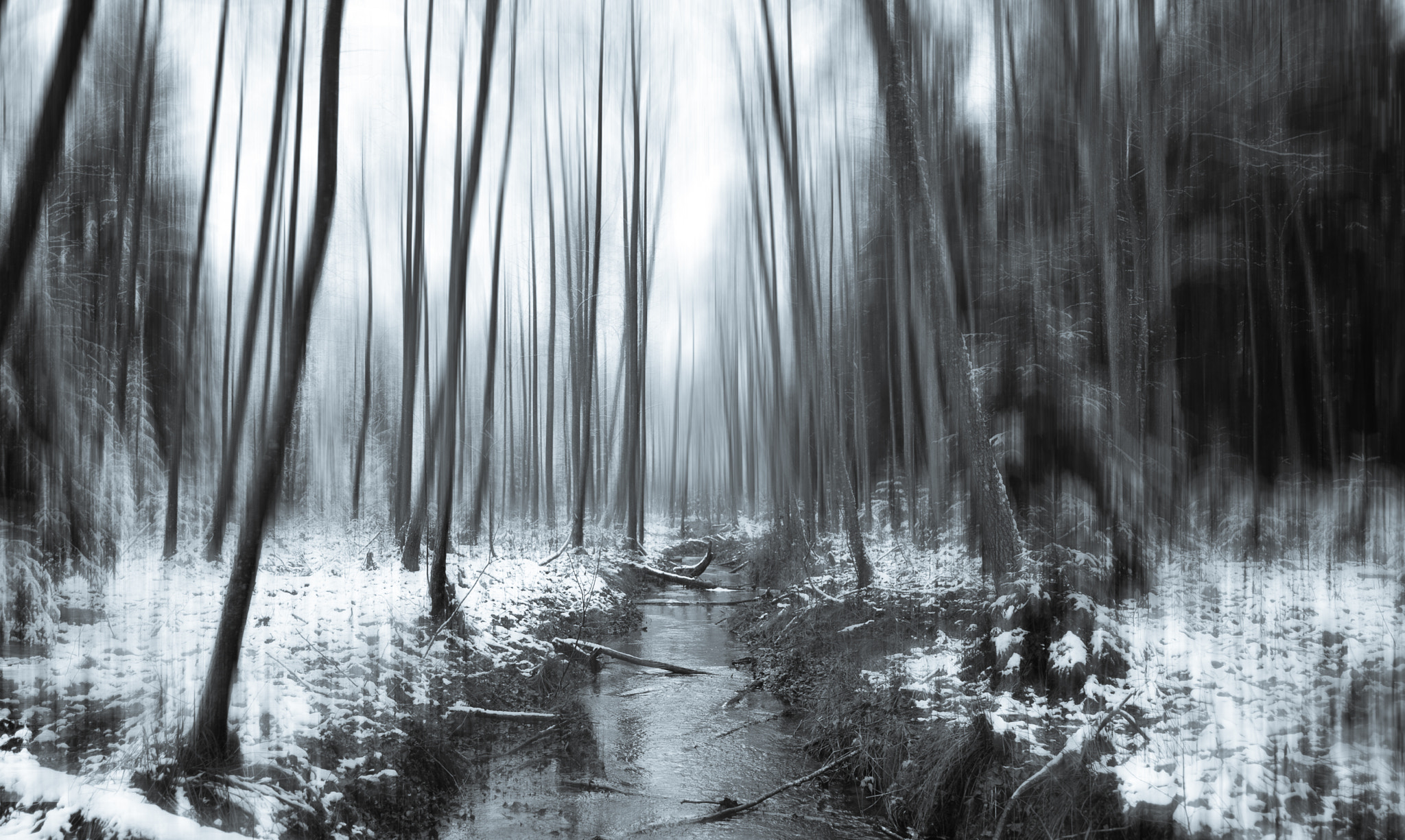 Nikon D810 sample photo. Mystic forest creek photography