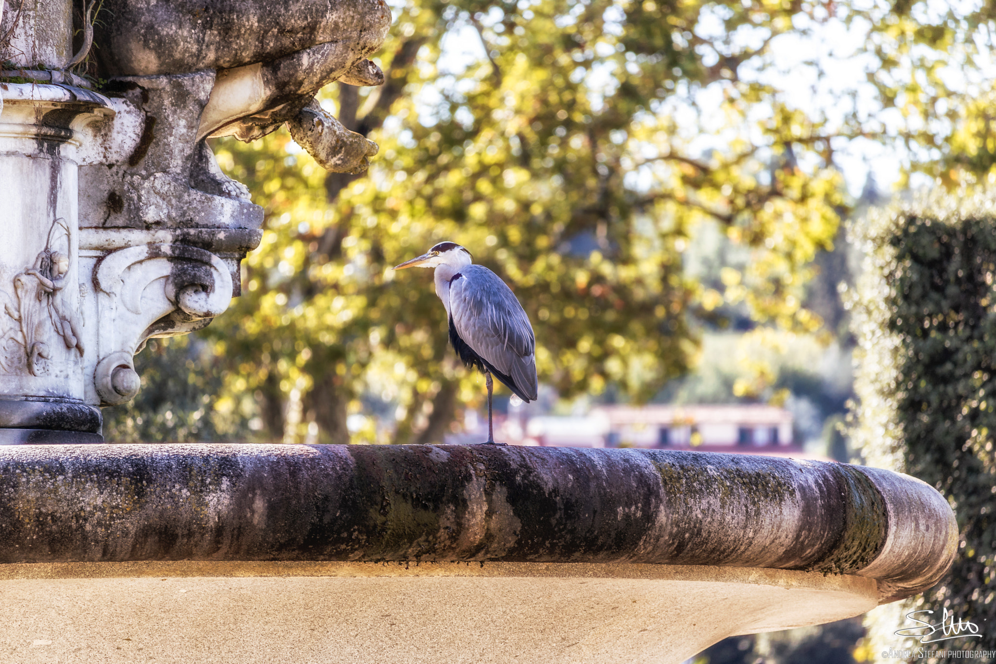 Canon EF-S 55-250mm F4-5.6 IS STM sample photo. In posa per i fotografi photography