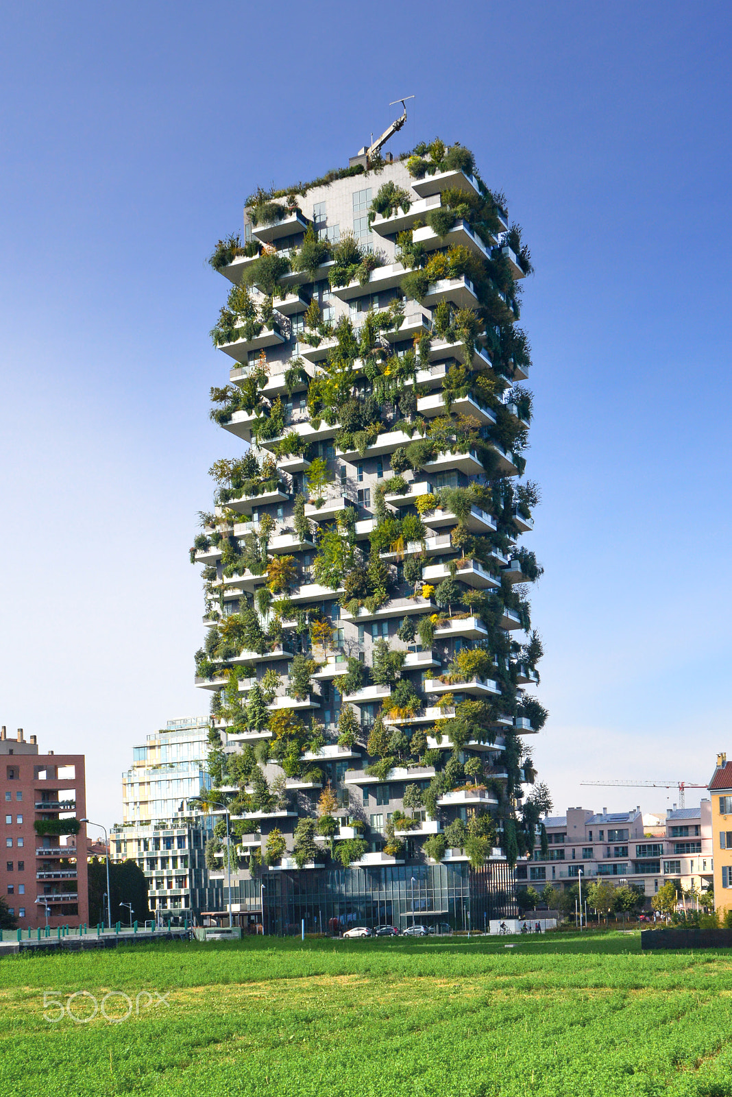 Nikon D600 sample photo. Bosco verticale - vertical forest photography