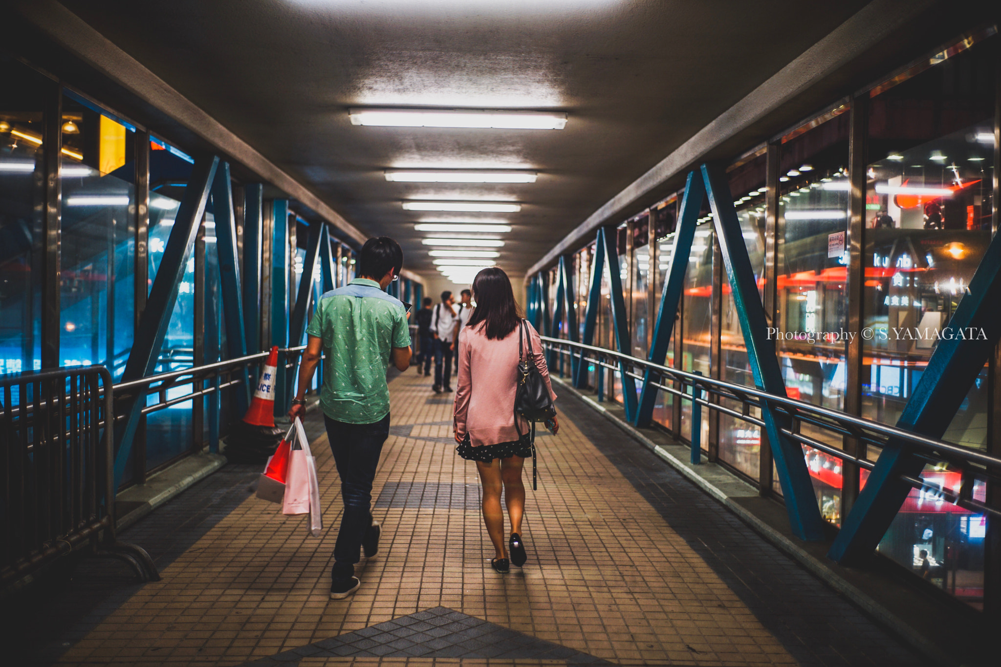DT 40mm F2.8 SAM sample photo. Bridge photography