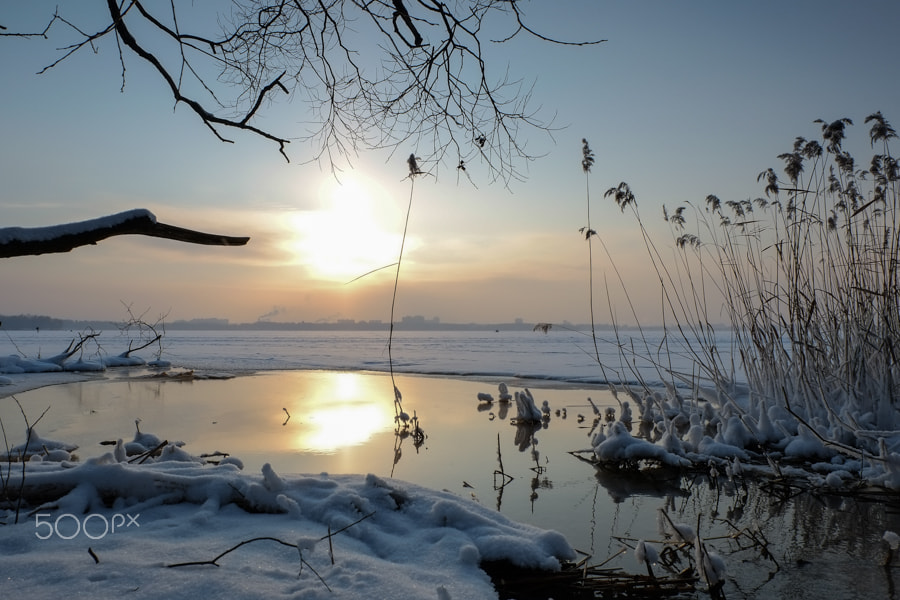 Fujifilm X-Pro1 + Fujifilm XC 16-50mm F3.5-5.6 OIS II sample photo. оз.Сенеж photography