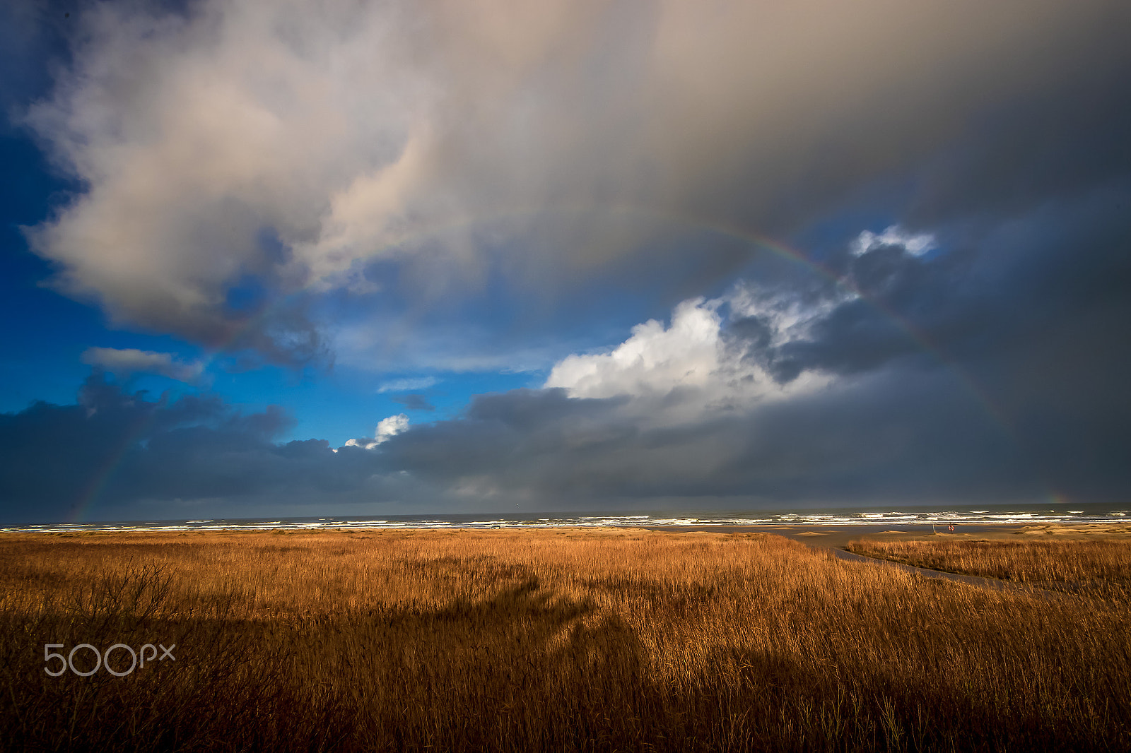 Canon EF 17-40mm F4L USM sample photo. Somewhere over the rainbow photography