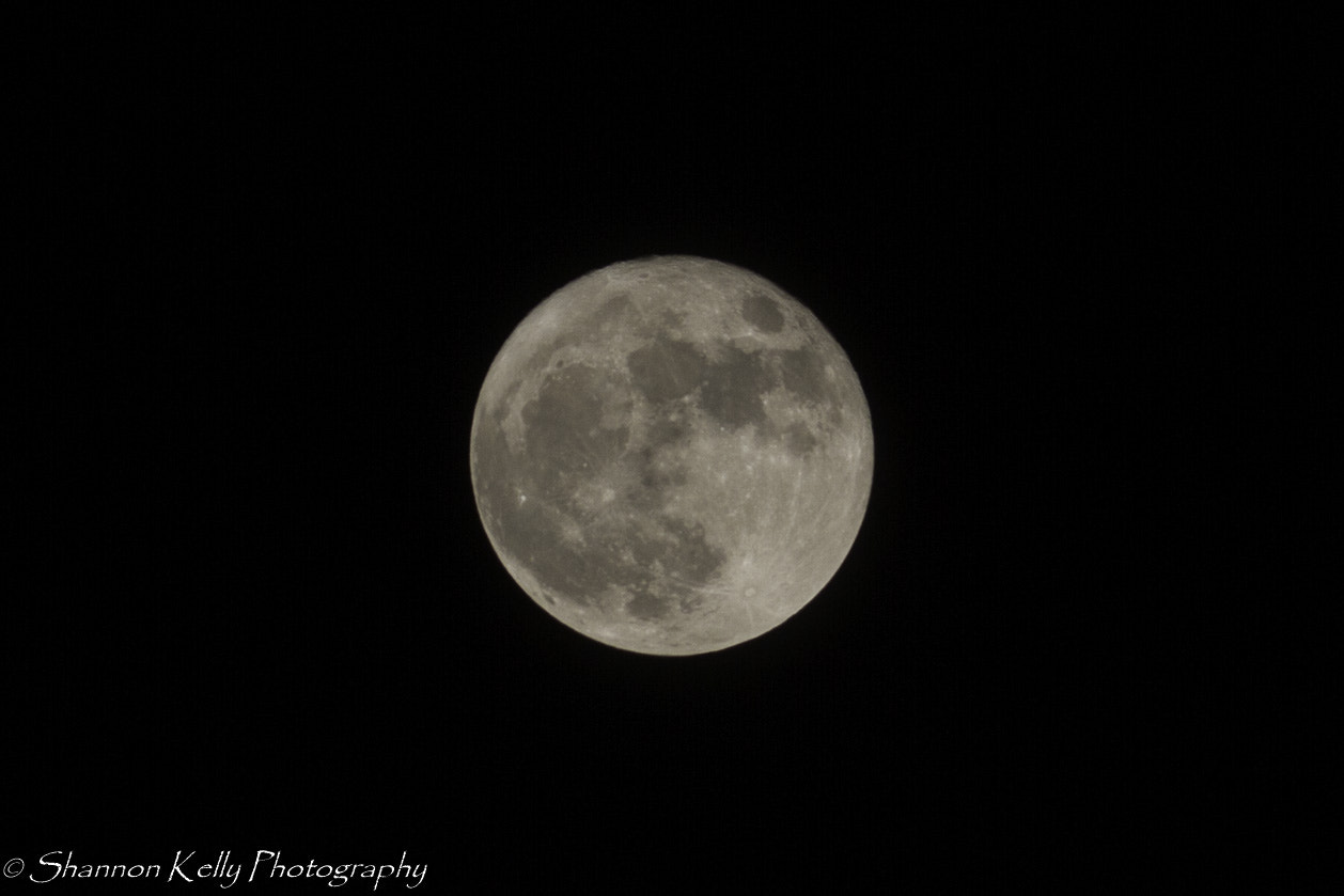 Canon EOS 7D sample photo. Super moon photography