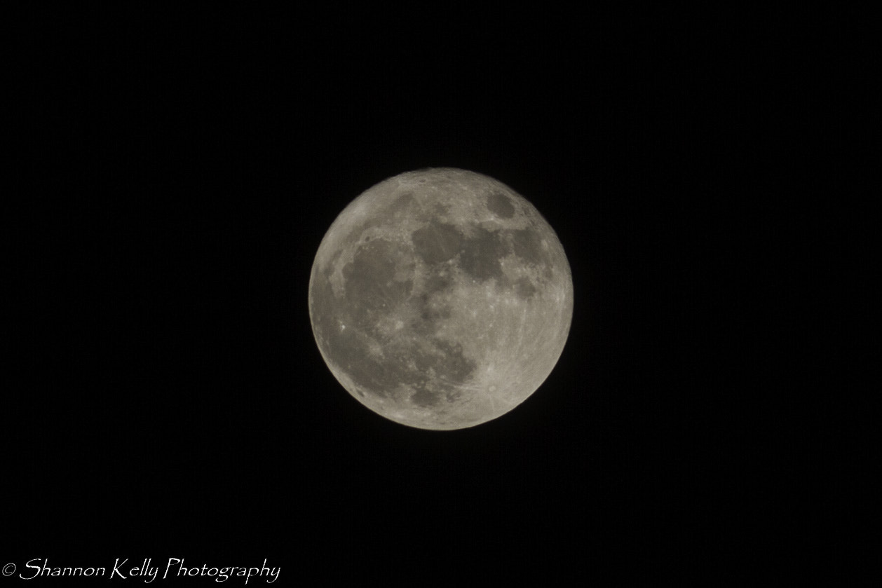 Canon EF-S 55-250mm F4-5.6 IS sample photo. Super moon photography