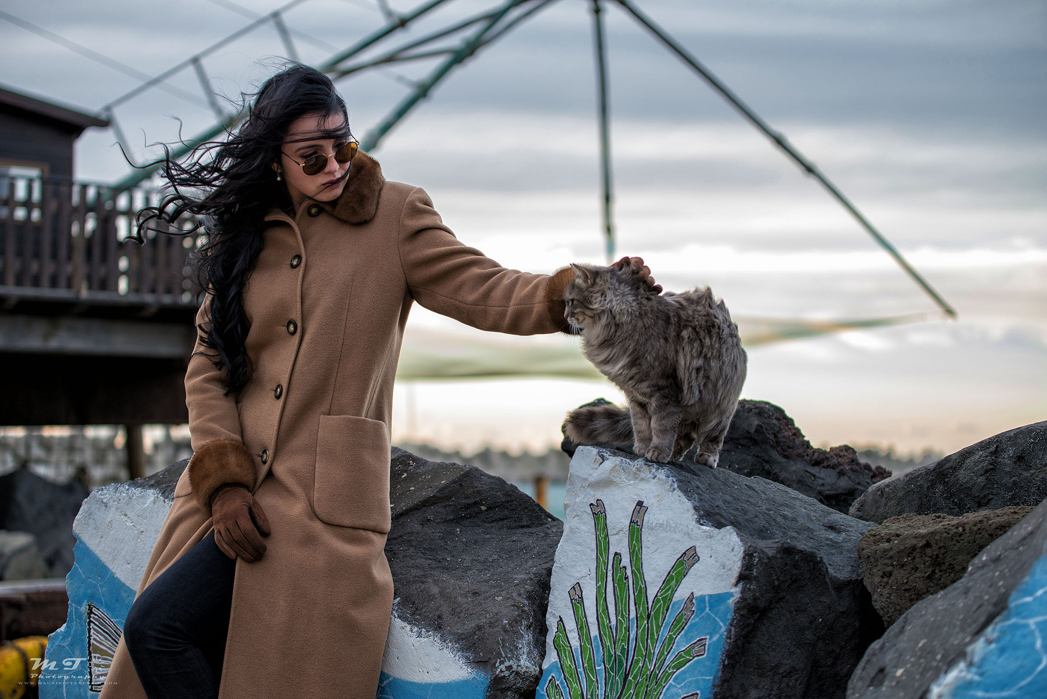 Nikon D600 sample photo. Alice and the cat photography