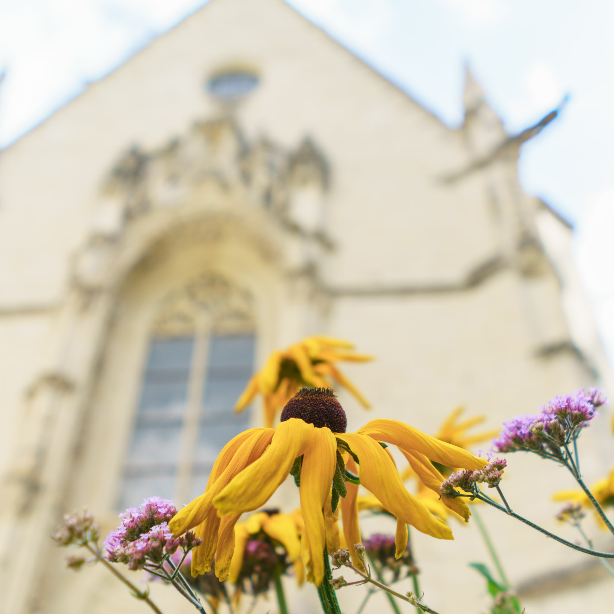 Sony a7R II sample photo. Jardin de curé photography