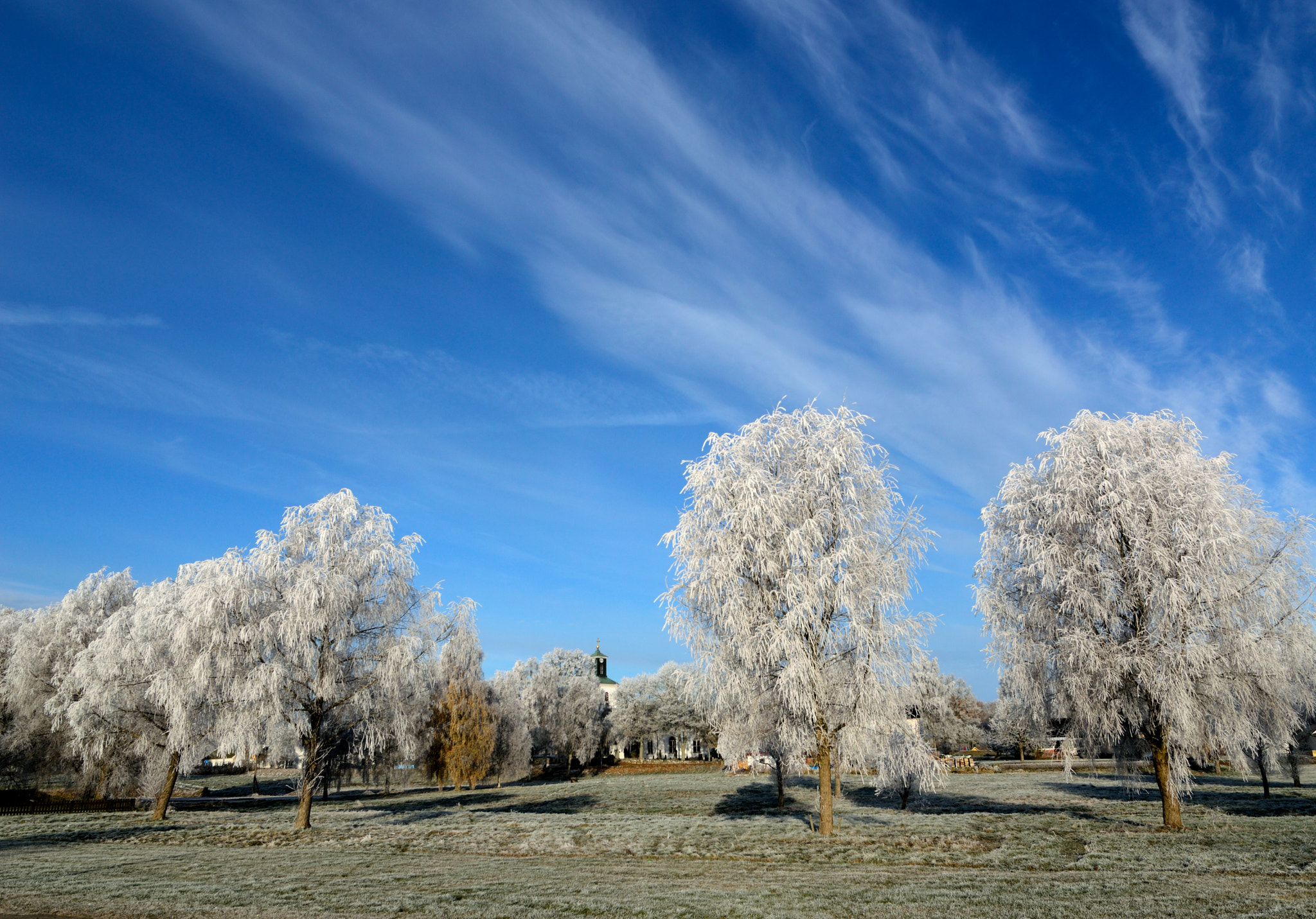 Nikon D3200 sample photo. Winter morning photography