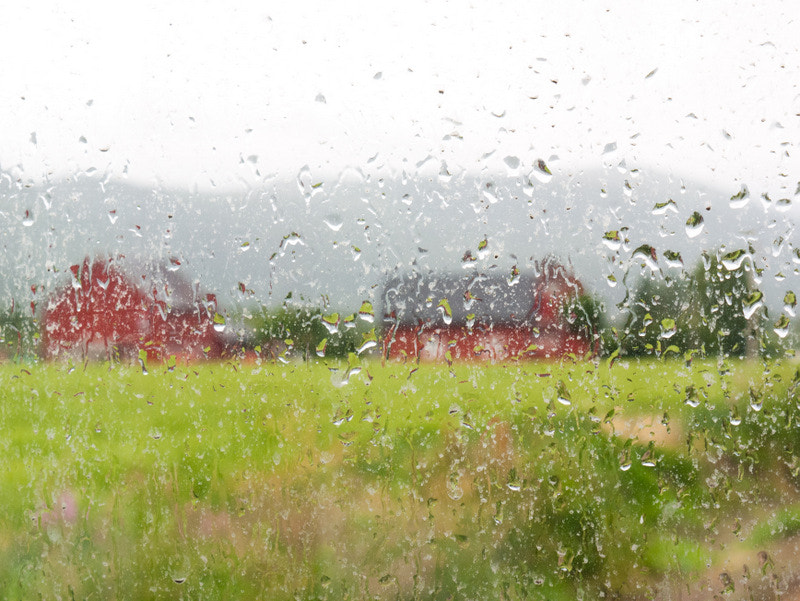 Panasonic Lumix DMC-G1 sample photo. Justo barchino photography