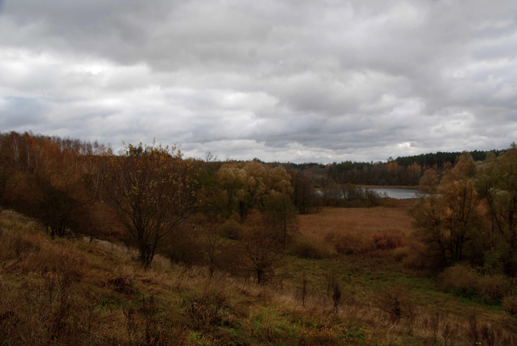Tamron 18-270mm F3.5-6.3 Di II PZD sample photo. Nad jeziorem niechorek photography