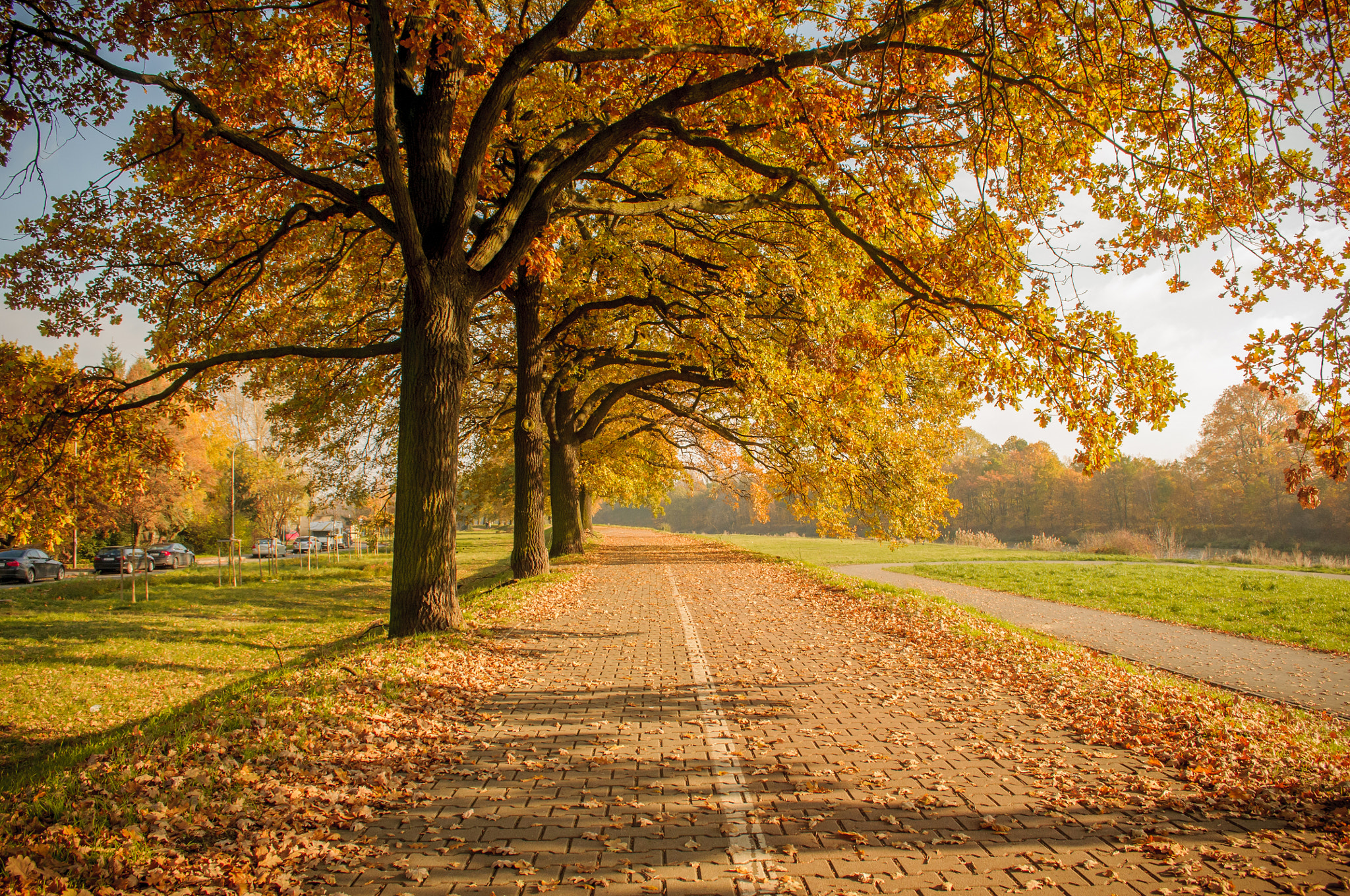 Nikon D300 sample photo. Fall photography