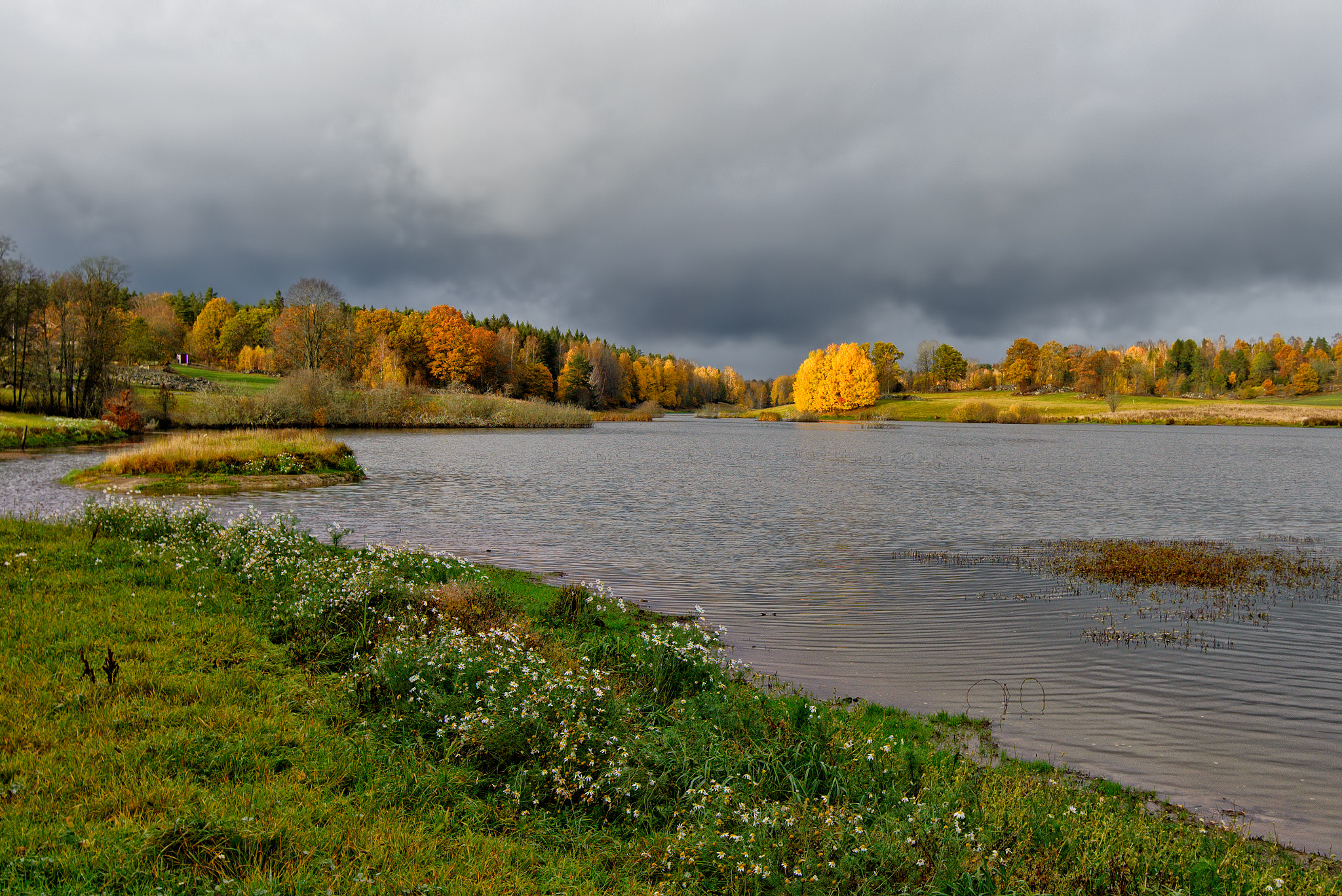 Nikon D800E sample photo. Autumn colors at the lake photography