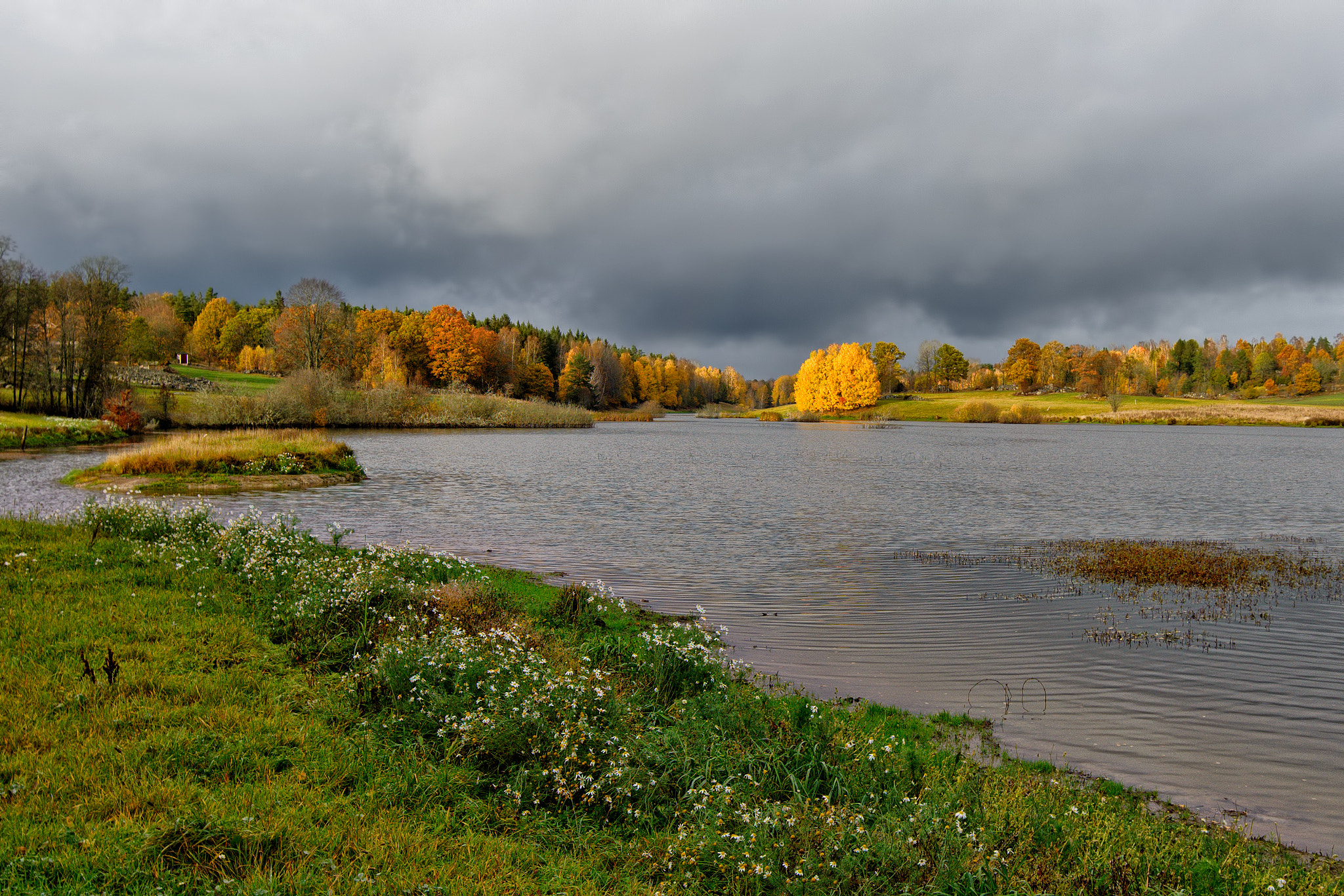 Tamron SP 15-30mm F2.8 Di VC USD sample photo. Autumn colors at the lake photography