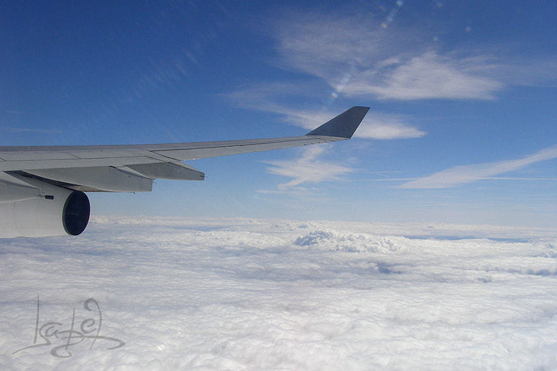 Olympus SP500UZ sample photo. Flying to heaven photography