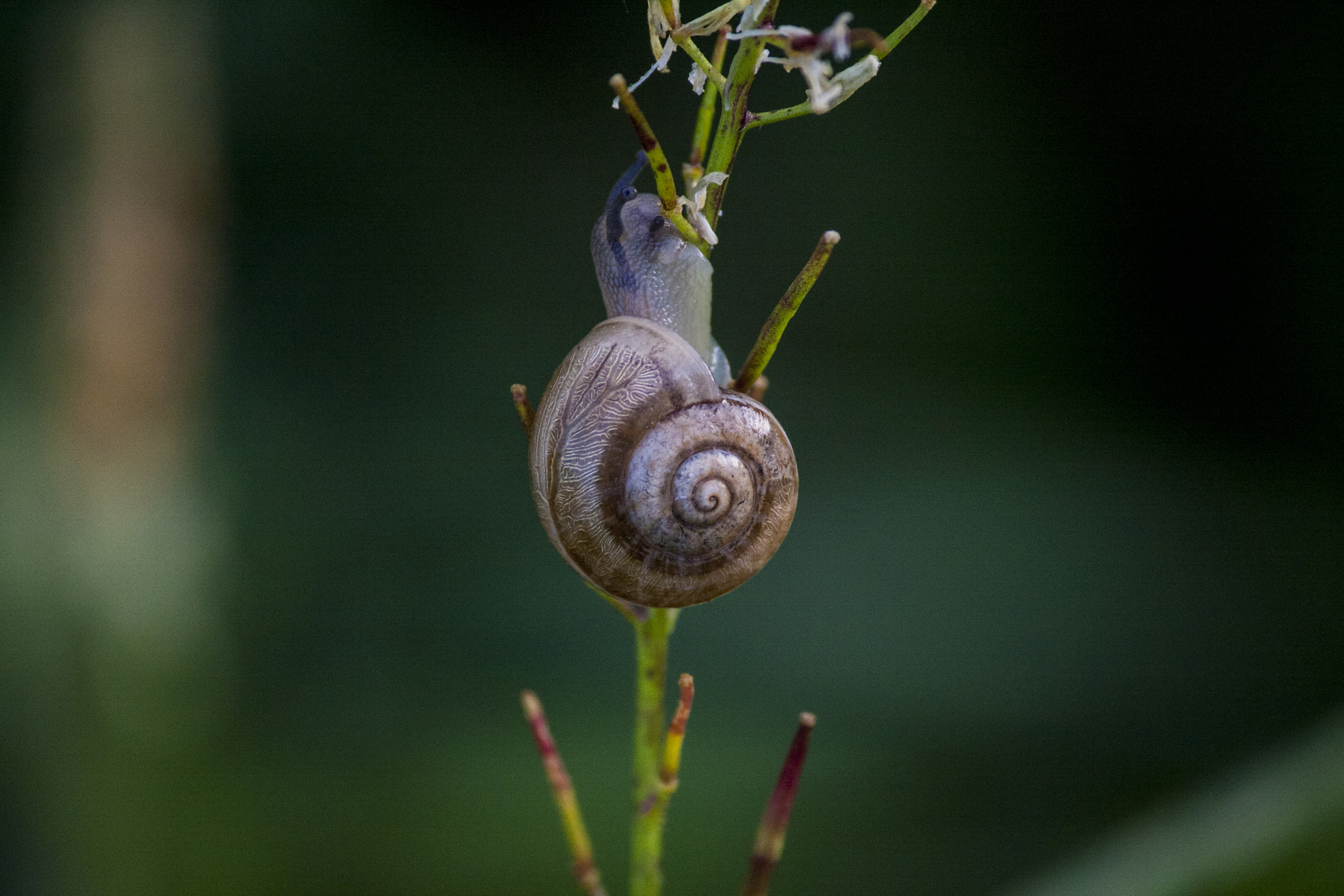 Canon EOS 40D sample photo