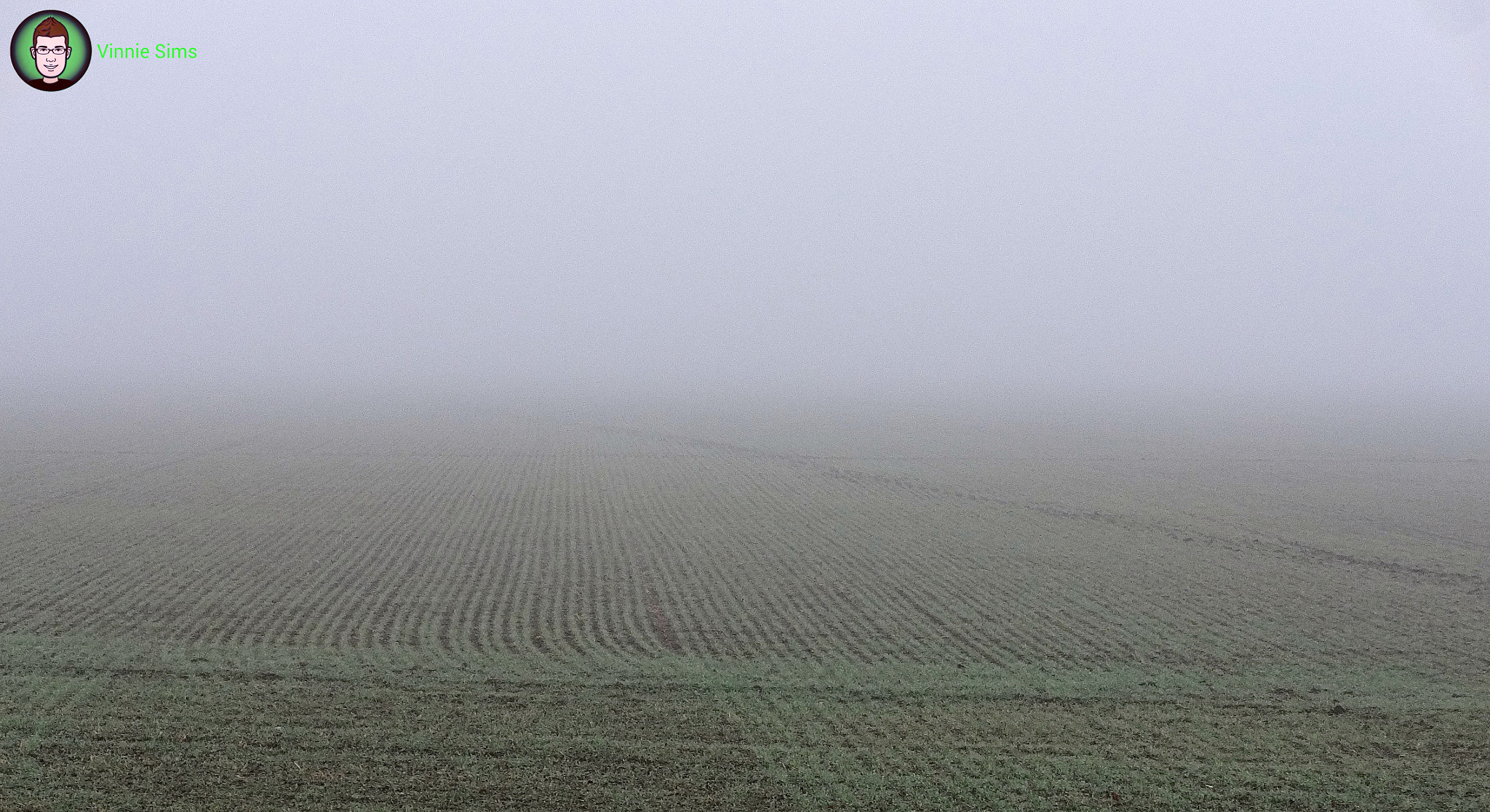 Sony Cyber-shot DSC-WX80 sample photo. Fog day... photography
