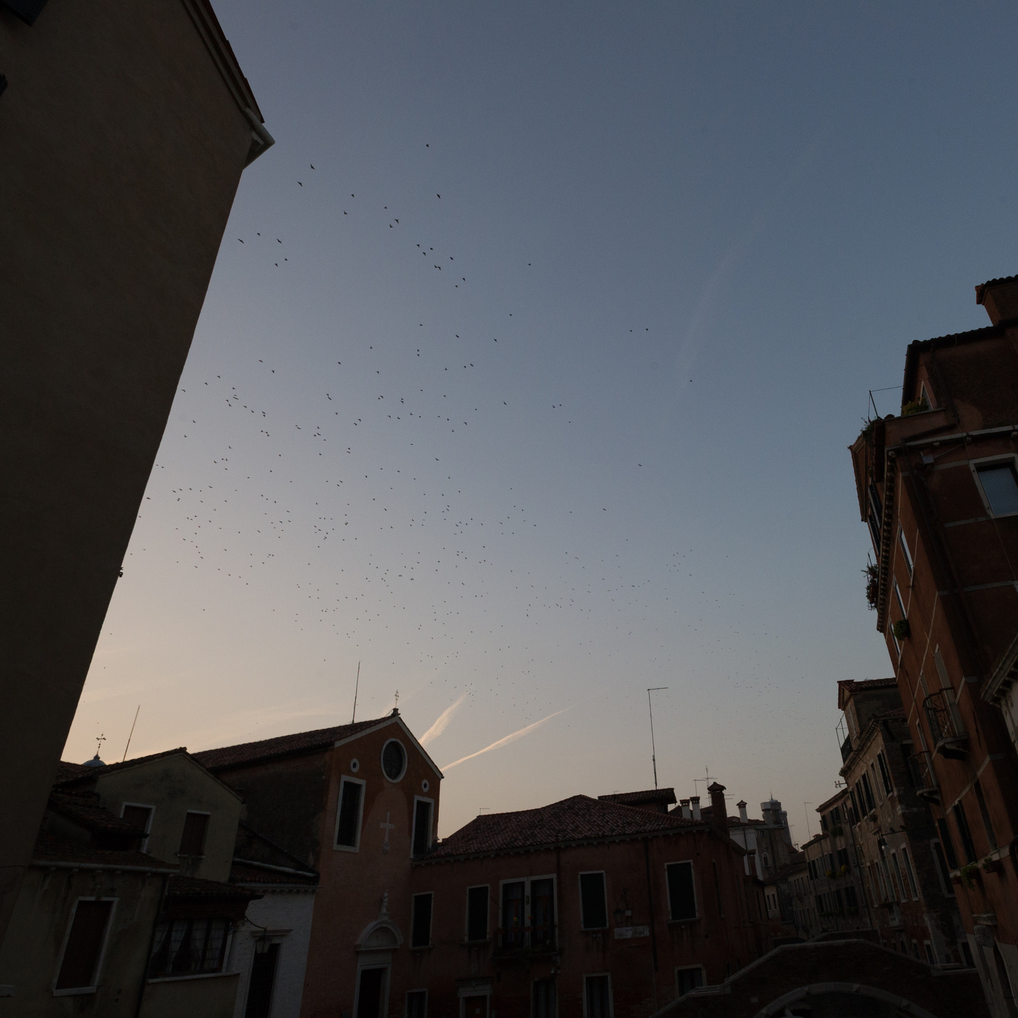 Nikon AF-S Nikkor 17-35mm F2.8D ED-IF sample photo. This should be on instagram too photography