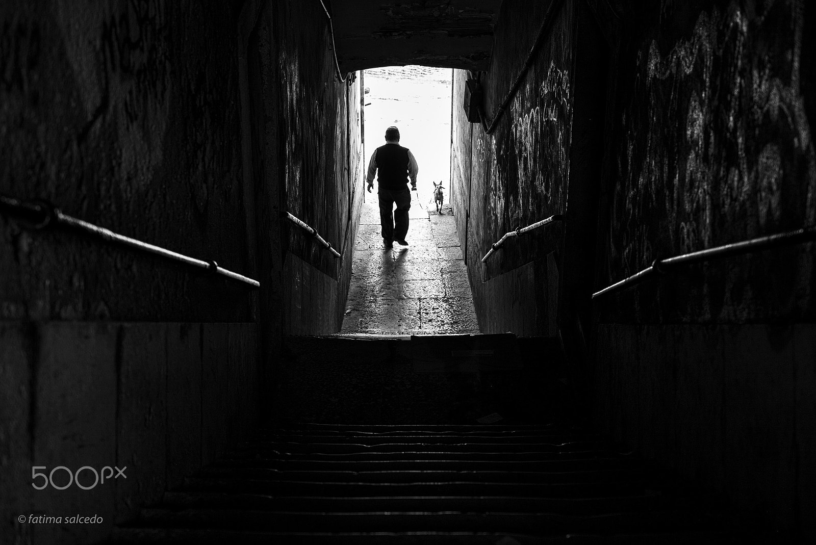 Leica APO-Summicron-M 50mm F2 ASPH sample photo. A special lisbon... photography