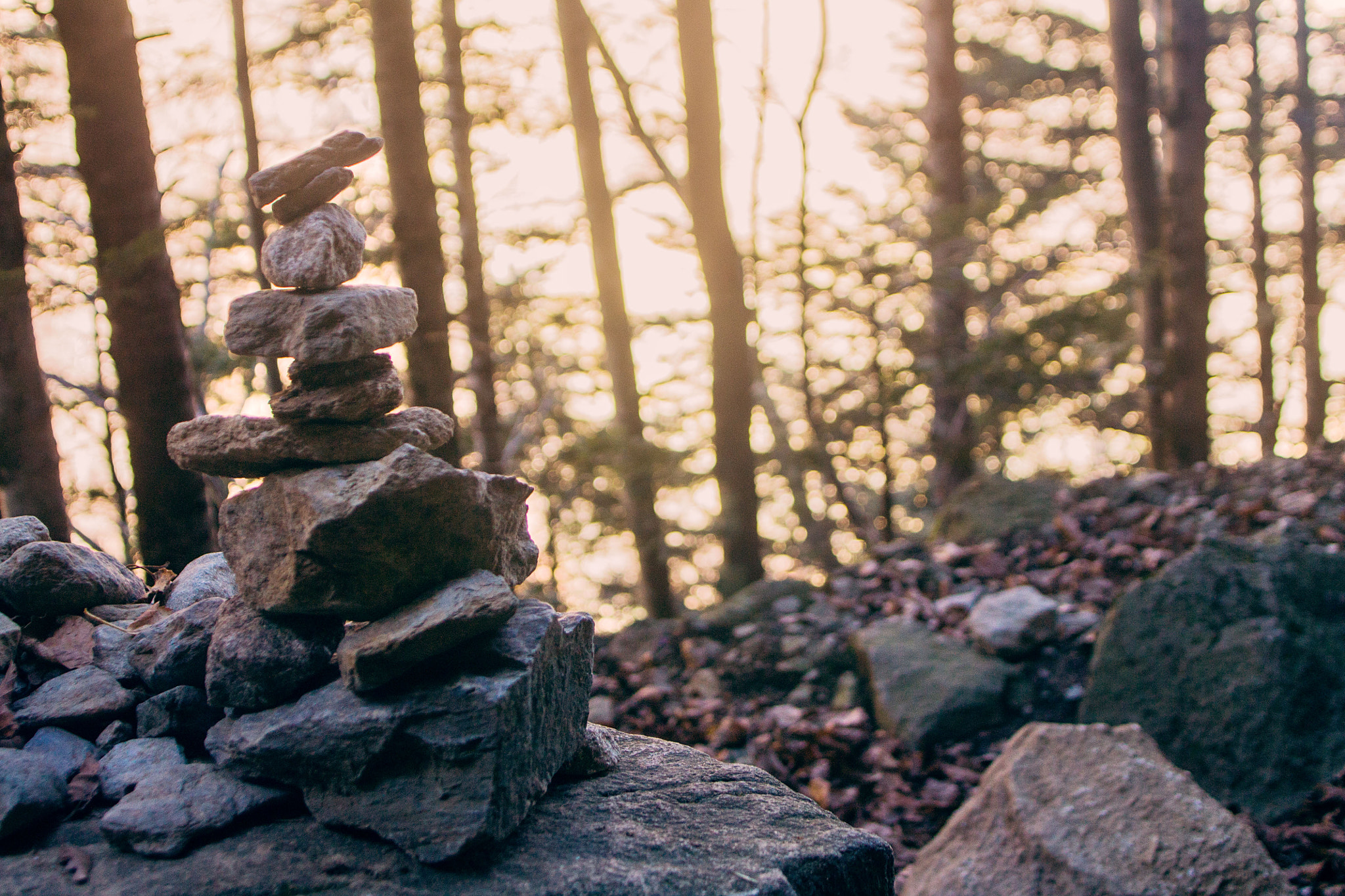 Canon EF 20-35mm F3.5-4.5 USM sample photo. Equilibre photography