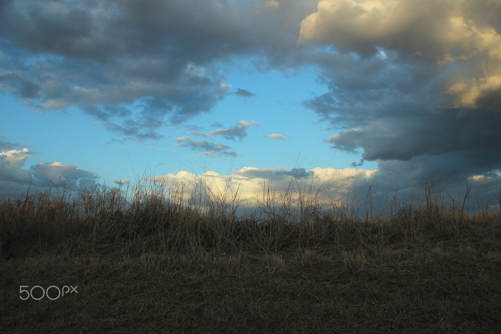 Canon EOS 600D (Rebel EOS T3i / EOS Kiss X5) sample photo. Field of new things photography