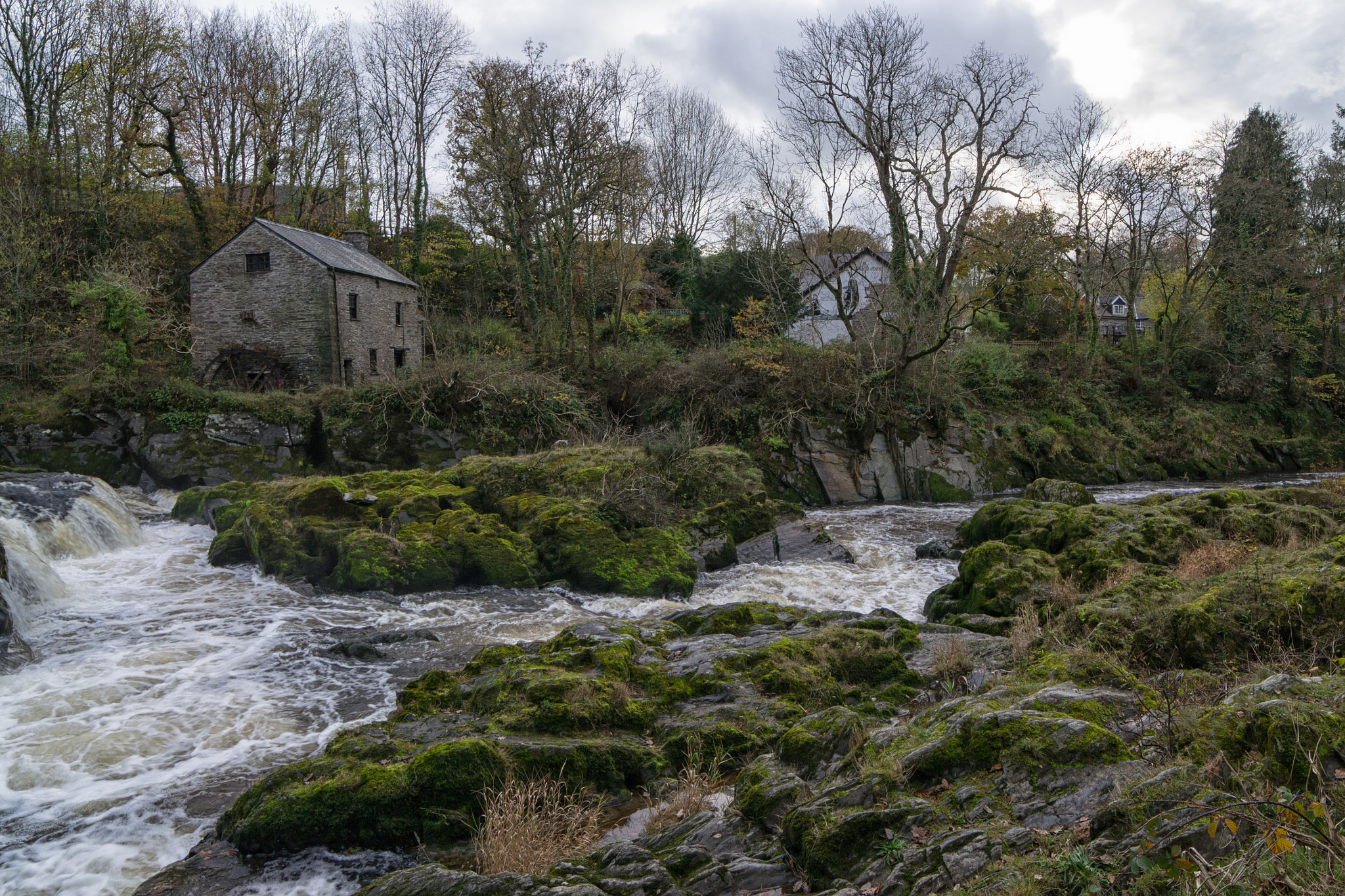 Samyang 14mm F2.8 ED AS IF UMC sample photo. Cenarth falls photography