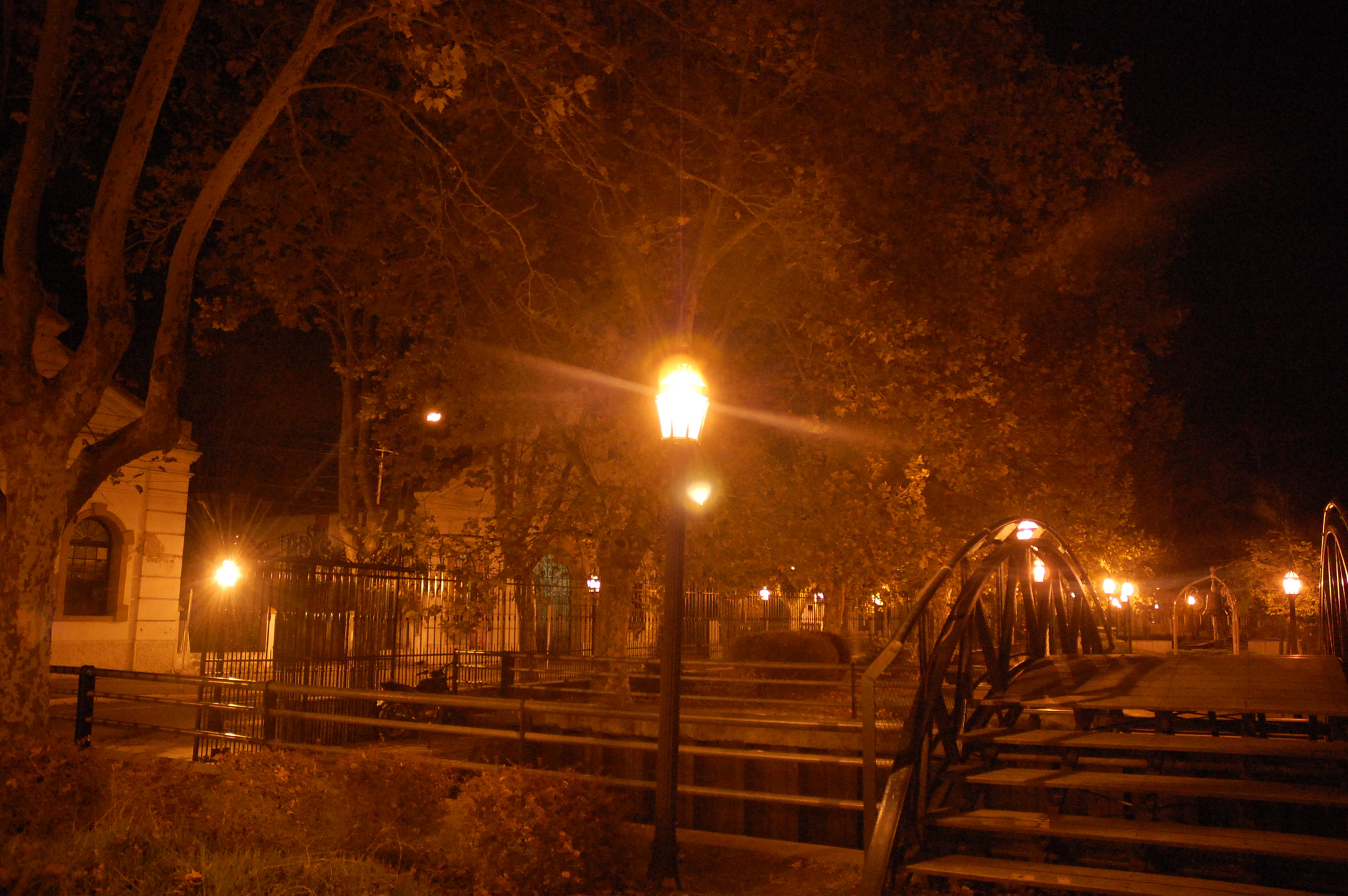 Nikon D40 sample photo. Safari por tigre photography