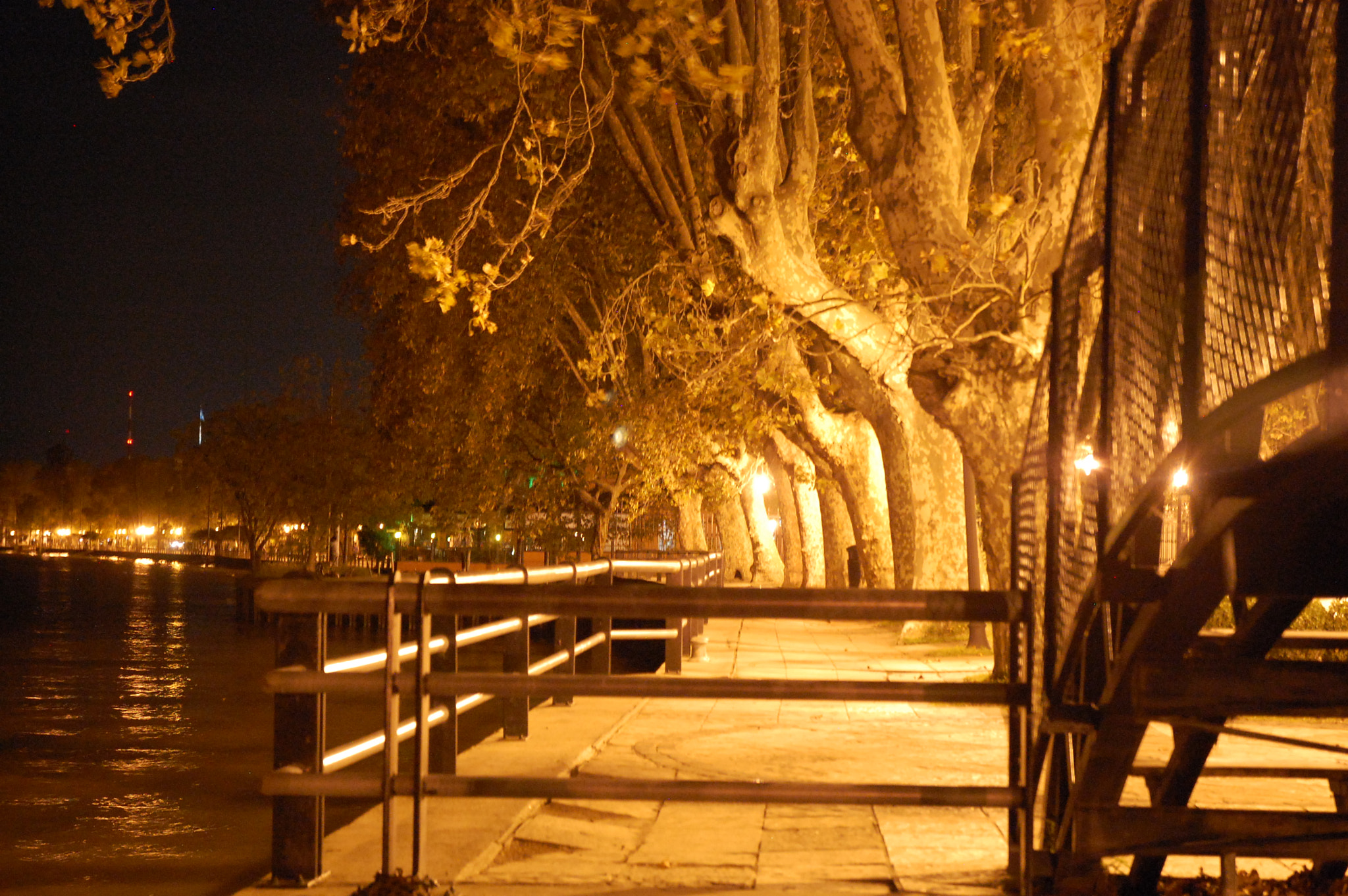 Nikon D40 sample photo. Safari por tigre photography