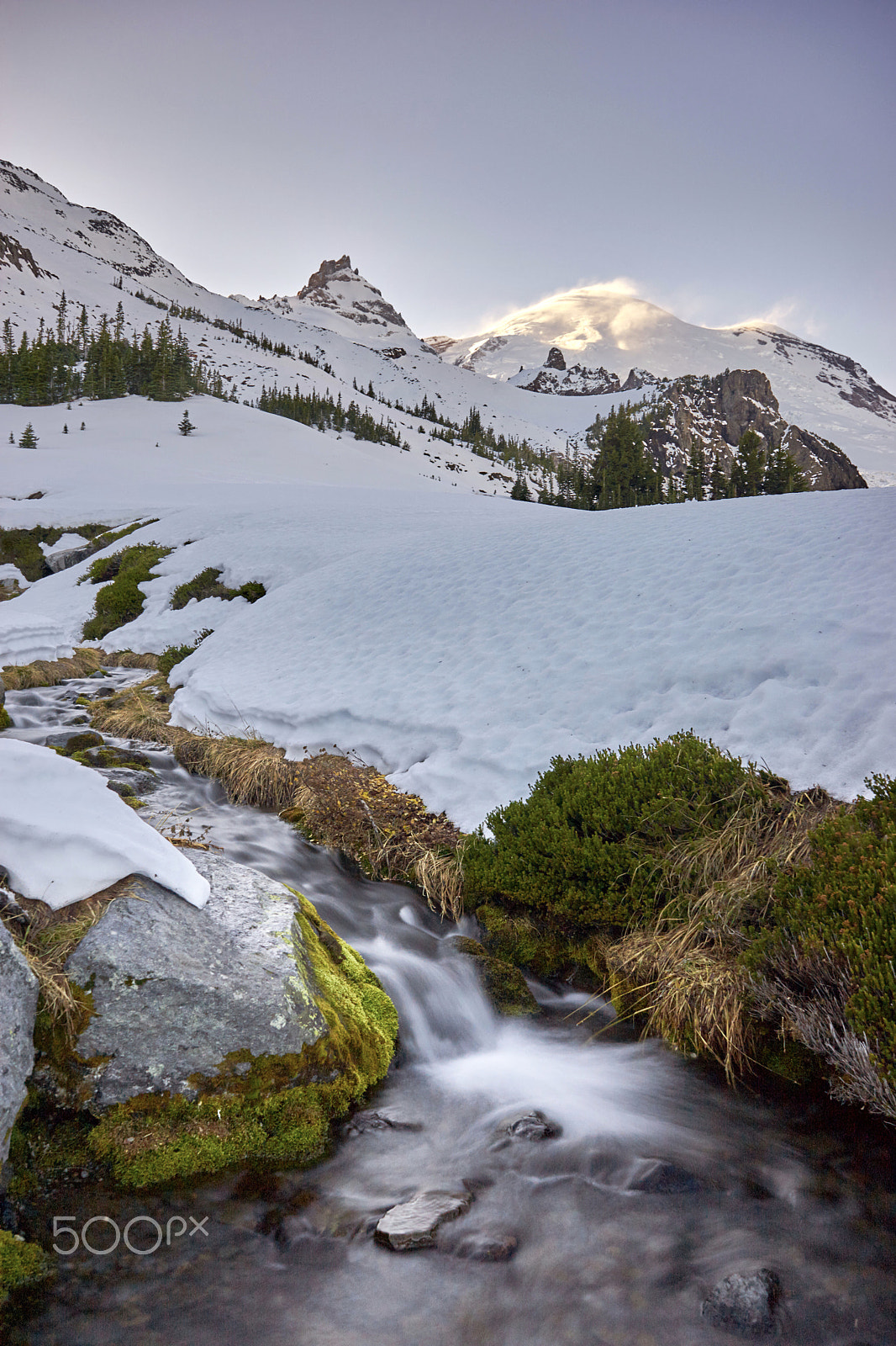 Sony a7 II sample photo. Winterland photography