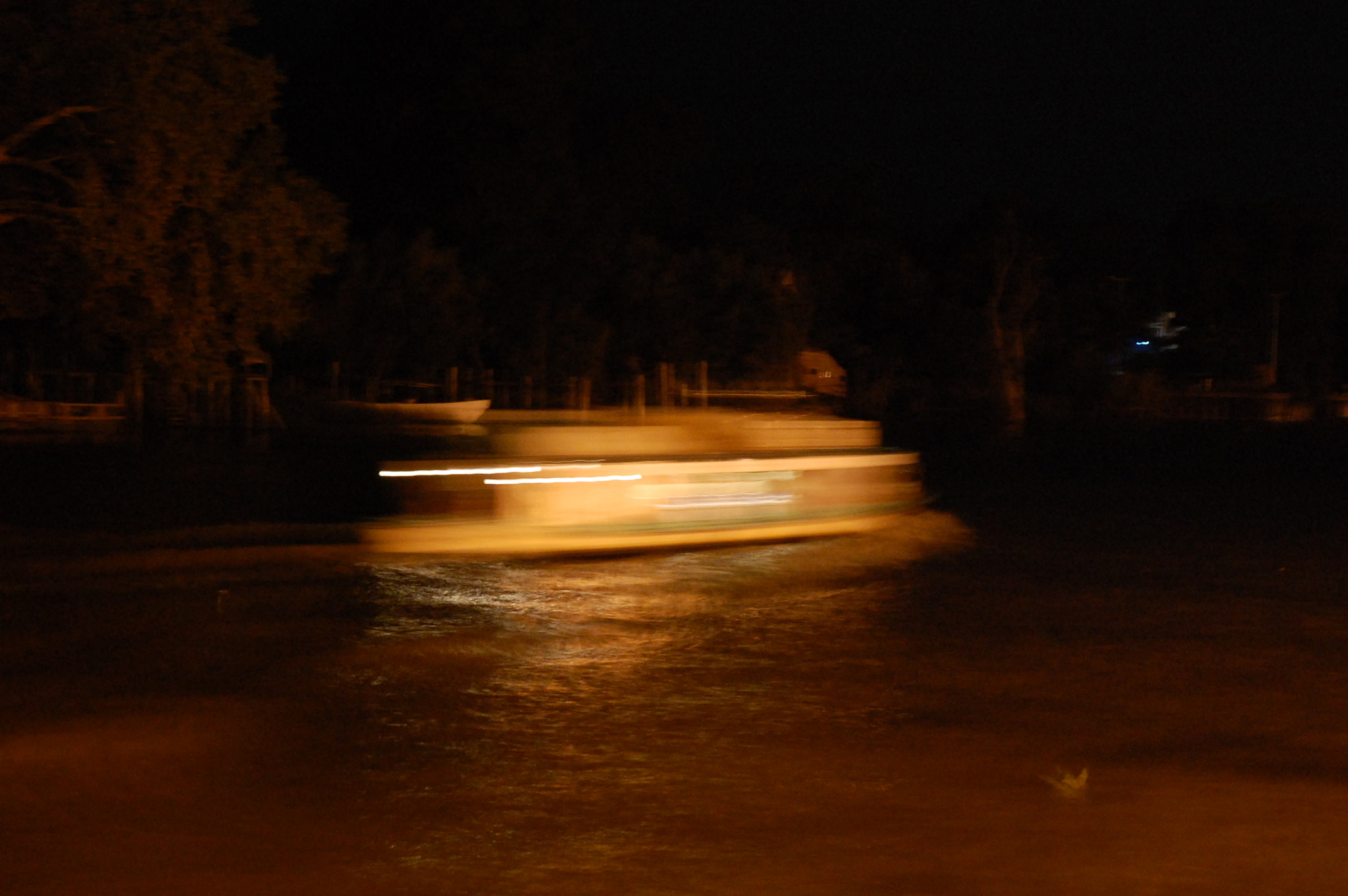 Nikon D40 sample photo. Safari por tigre photography