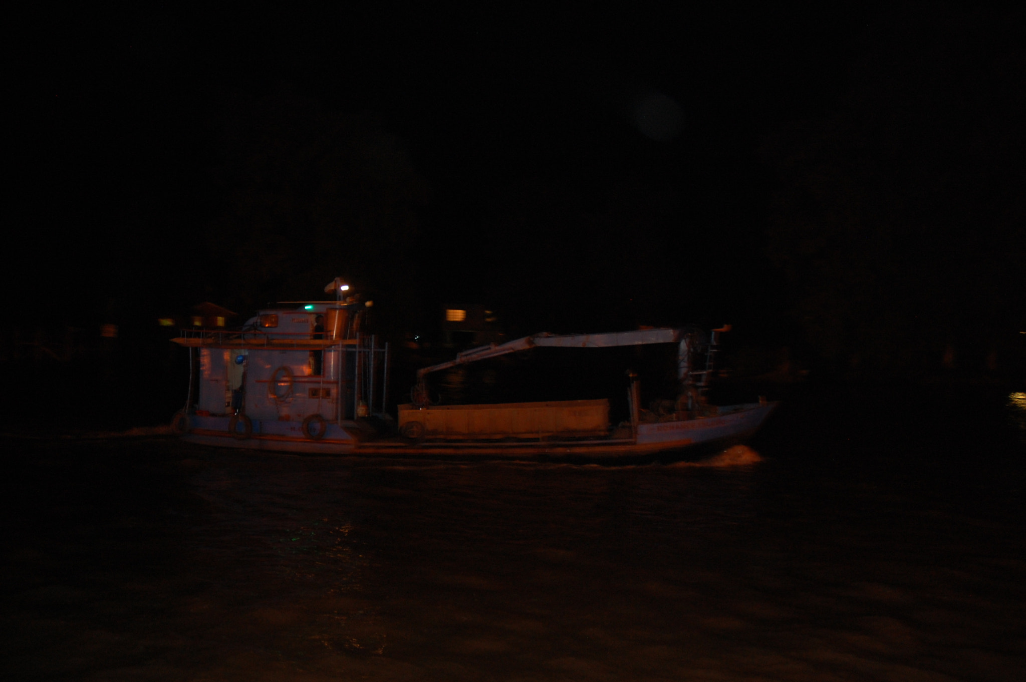 Nikon D40 sample photo. Safari por tigre photography