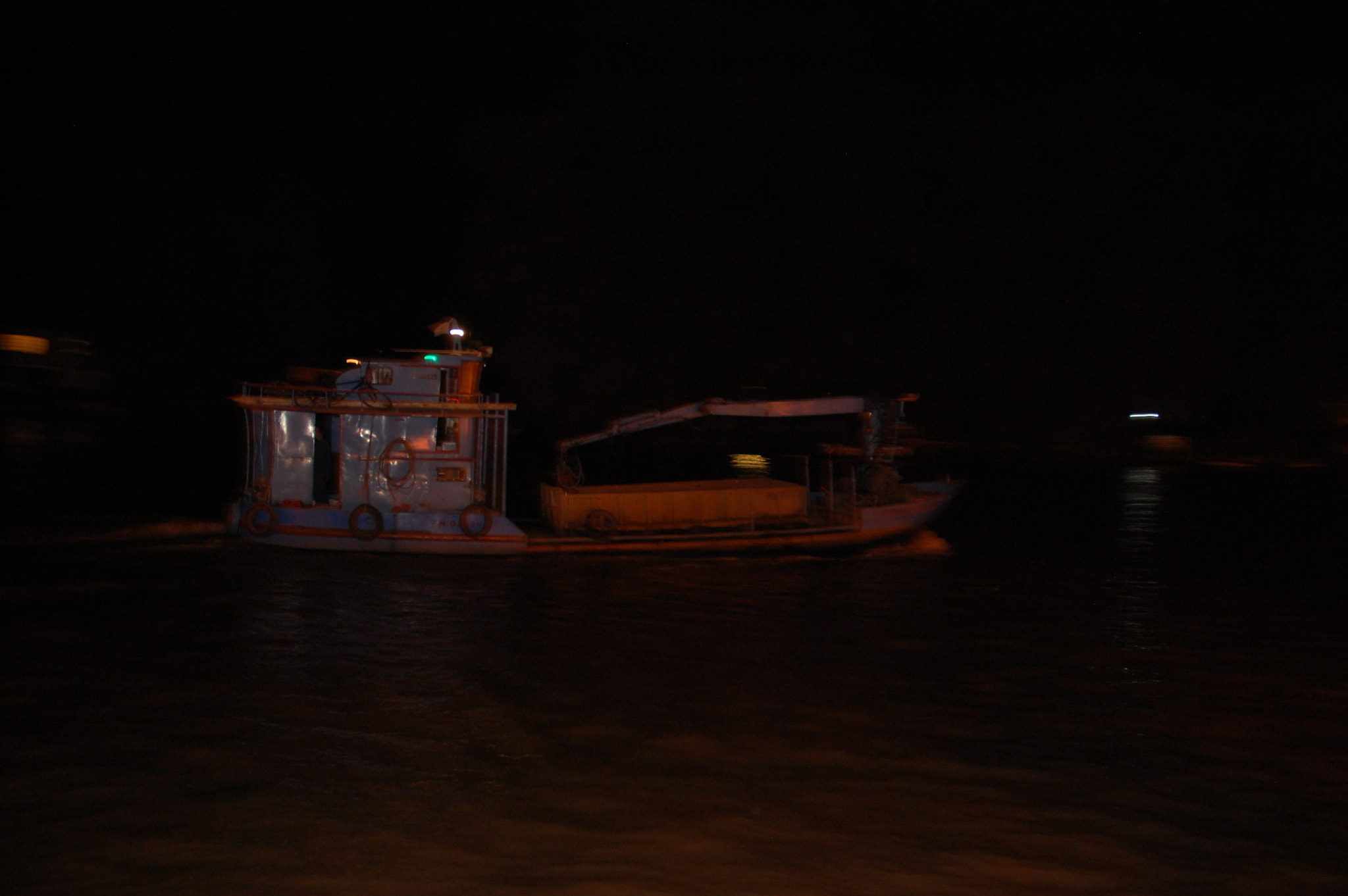 Nikon D40 sample photo. Safari por tigre photography