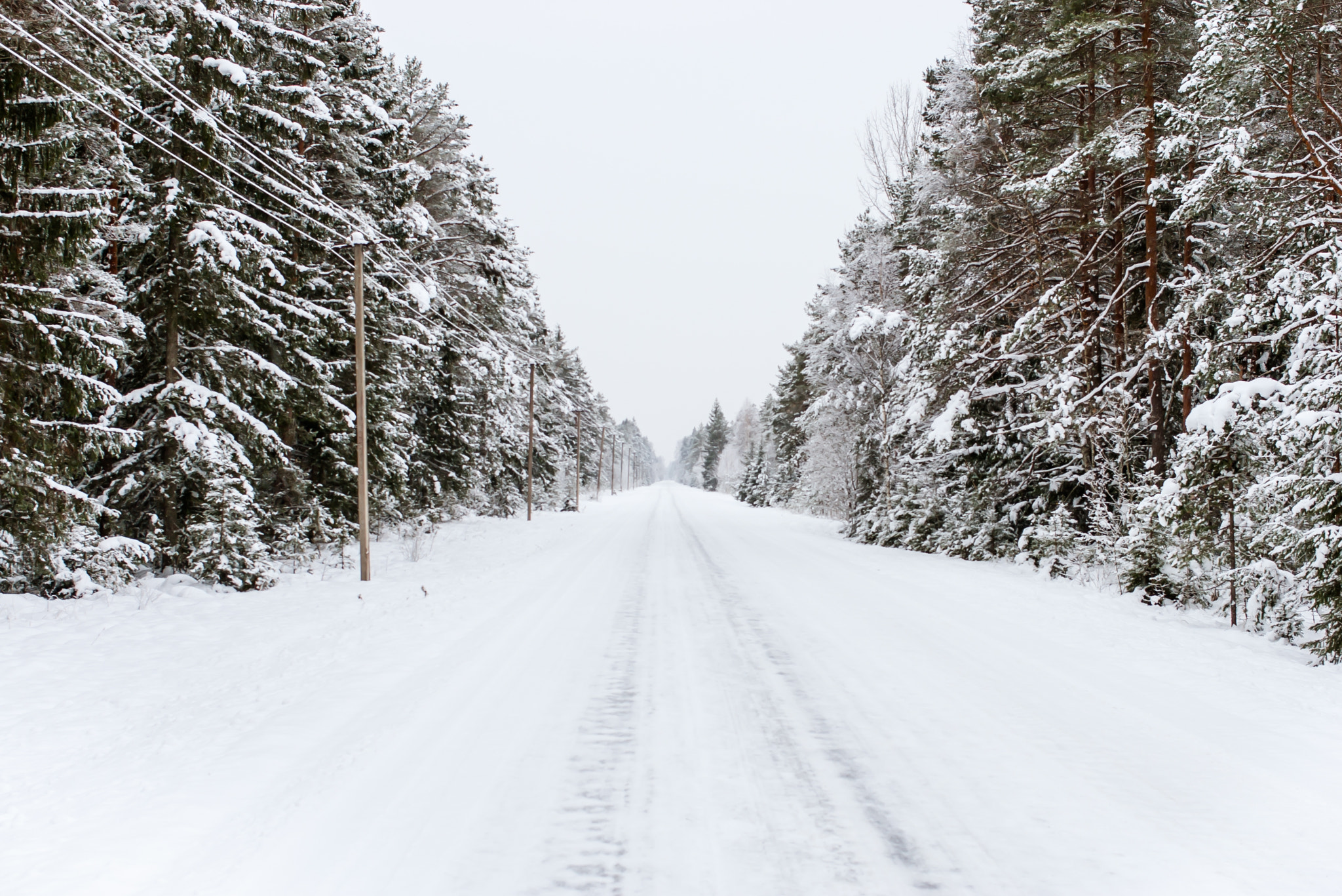 Pentax *ist DL sample photo. Snowy road photography