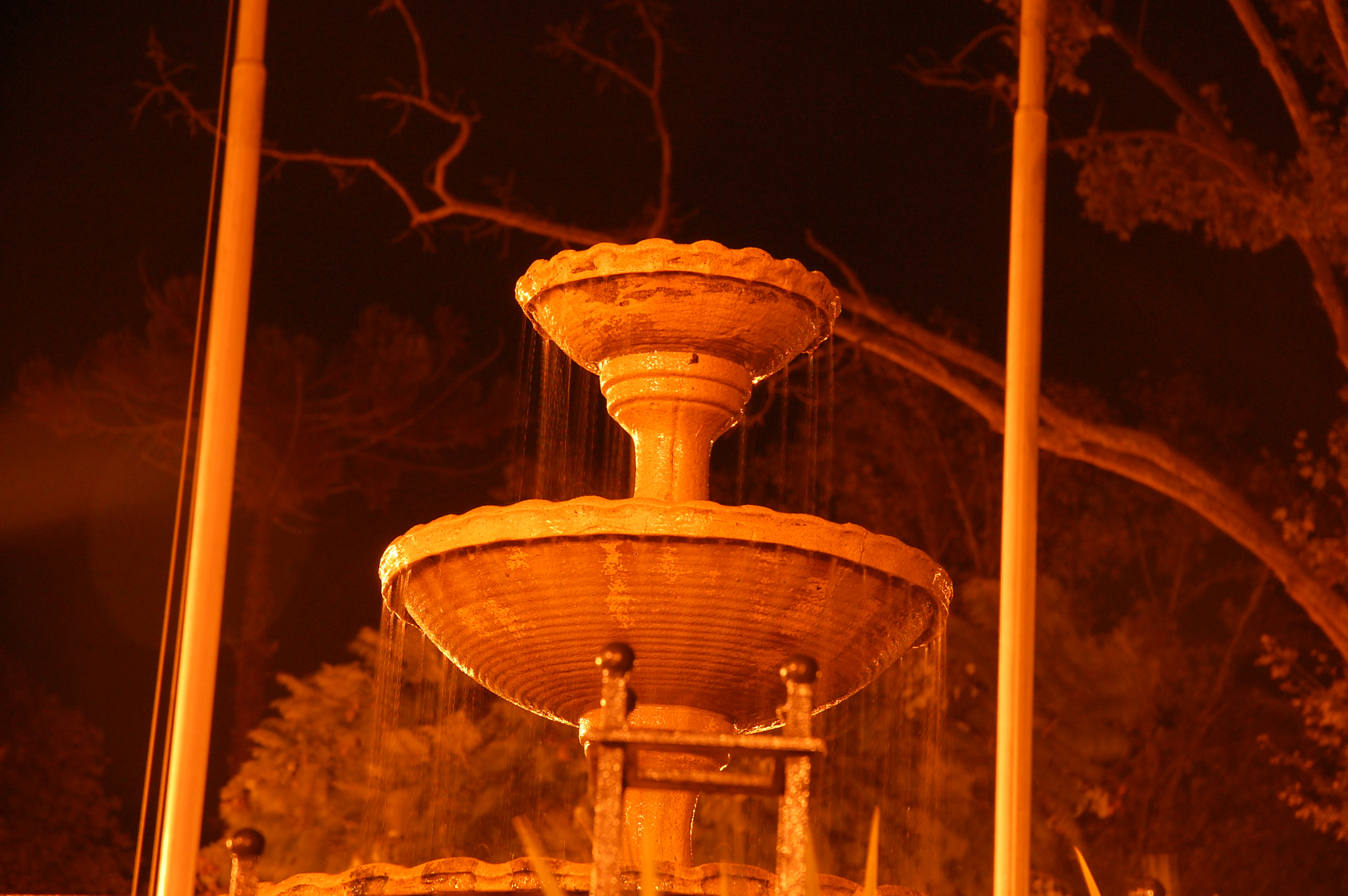Nikon D40 sample photo. Safari por tigre photography