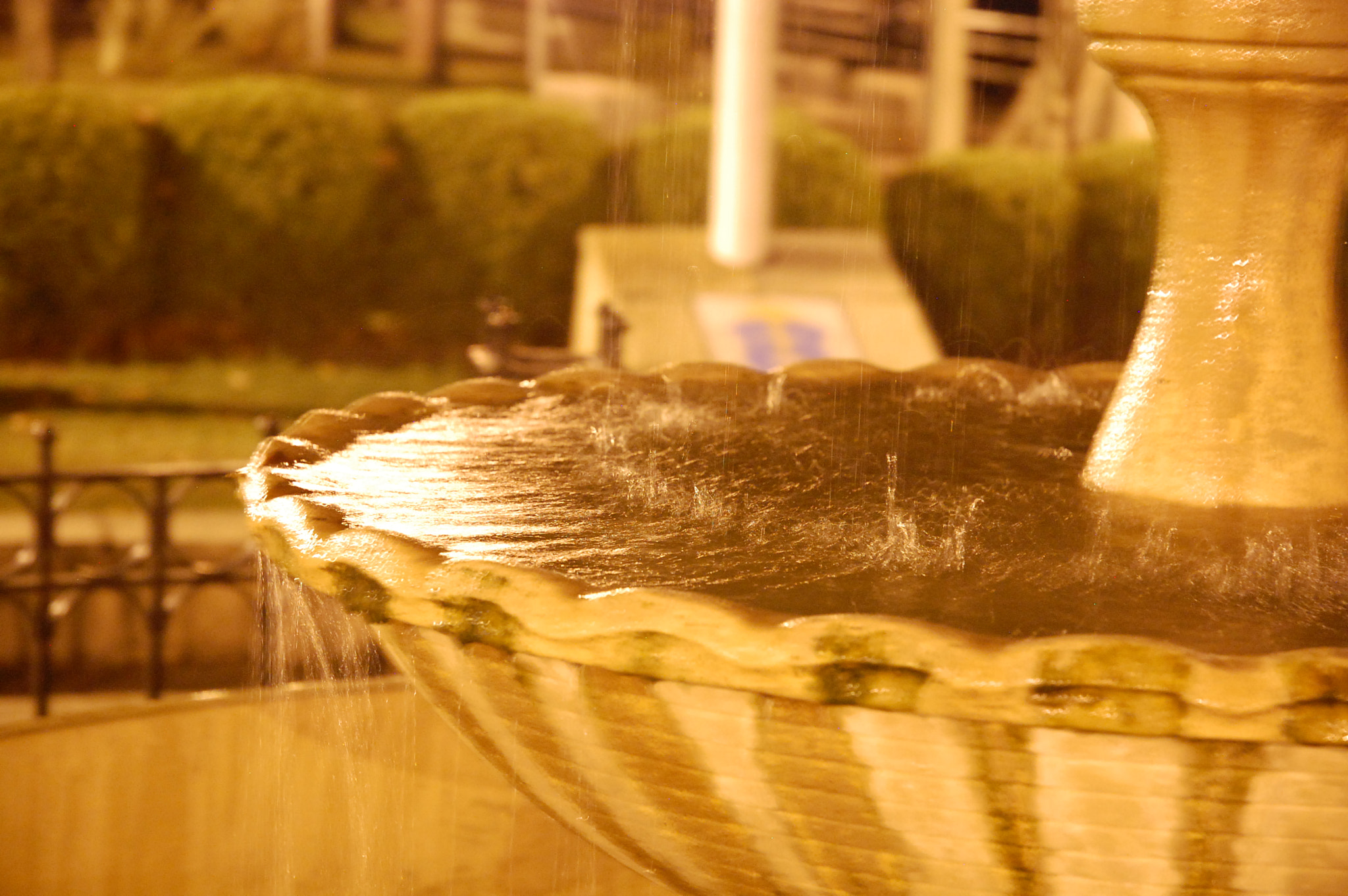 Nikon D40 sample photo. Safari por tigre photography