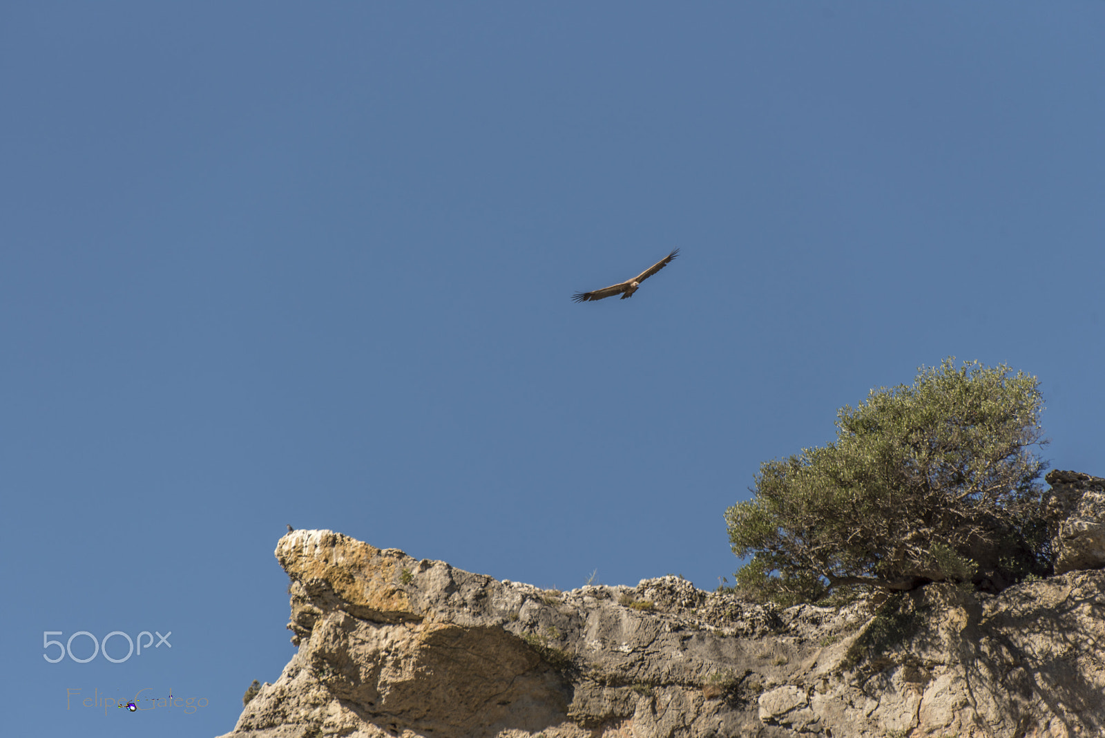 Sigma 50-500mm F4.5-6.3 DG OS HSM sample photo. Vuelo sobre las montañas photography