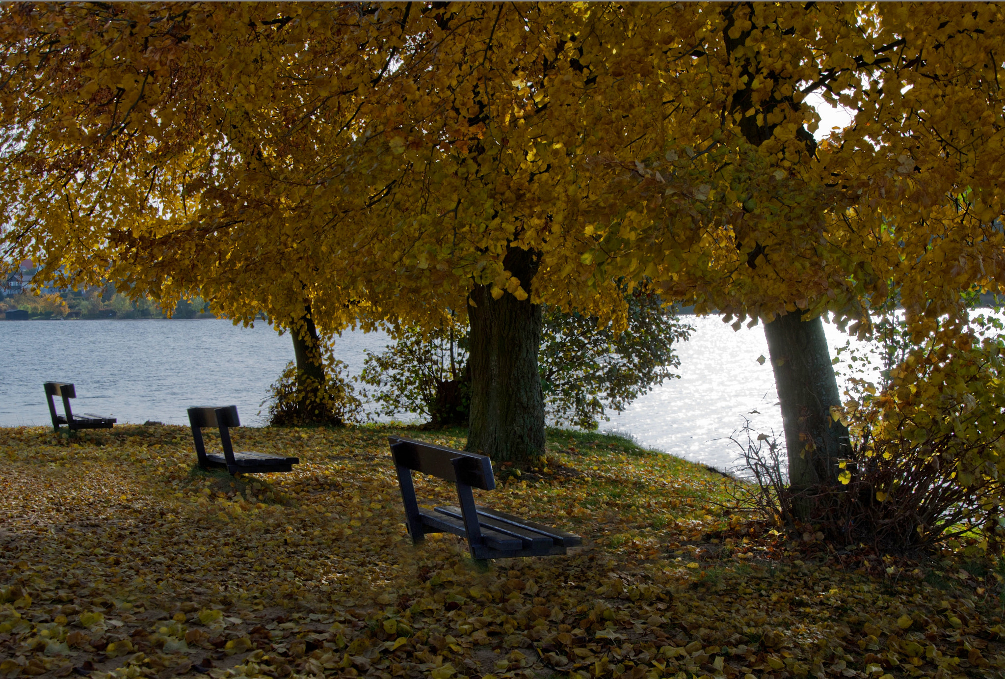 Sony Alpha DSLR-A300 sample photo. Nad jeziorem sępoleńskim photography