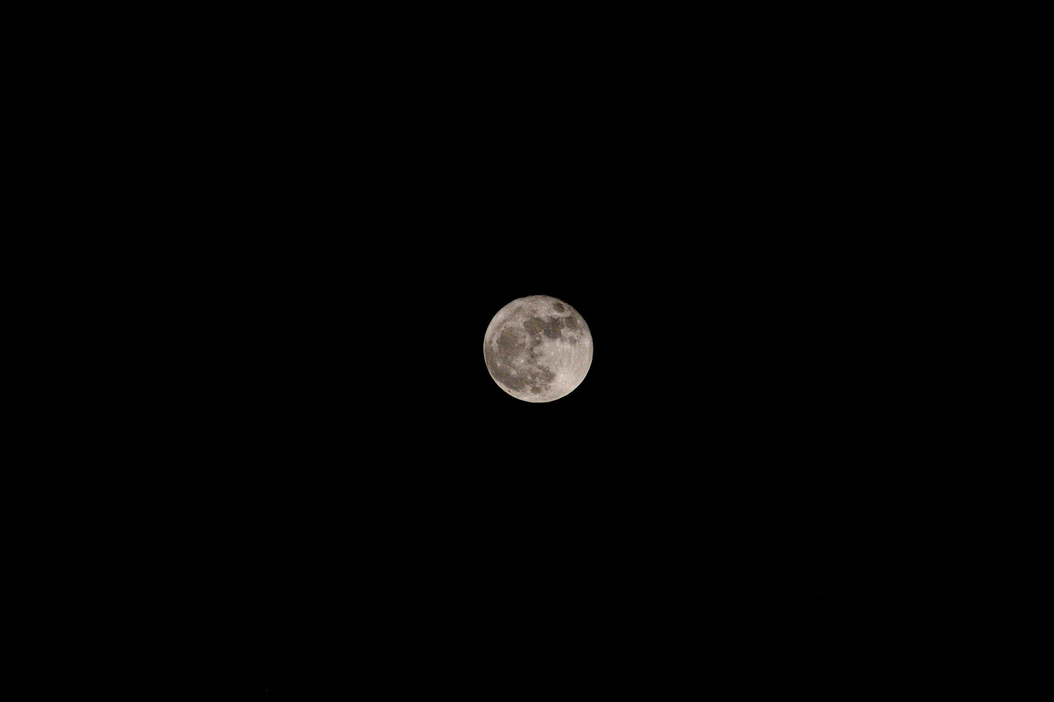 Canon EOS 40D + Canon EF-S 55-250mm F4-5.6 IS sample photo. My super moon photography