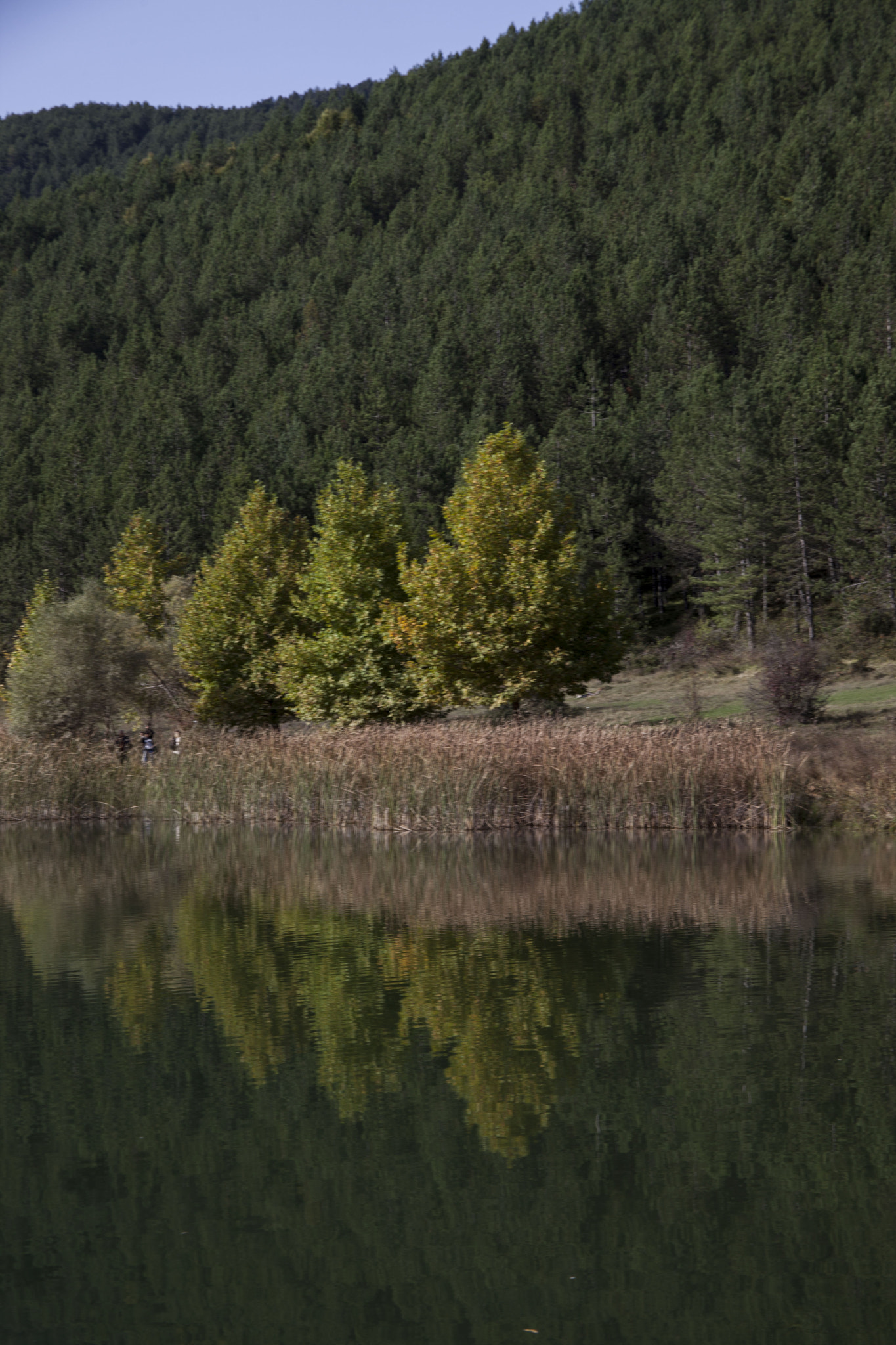 Canon EF 28-200mm F3.5-5.6 USM sample photo. Reflection photography