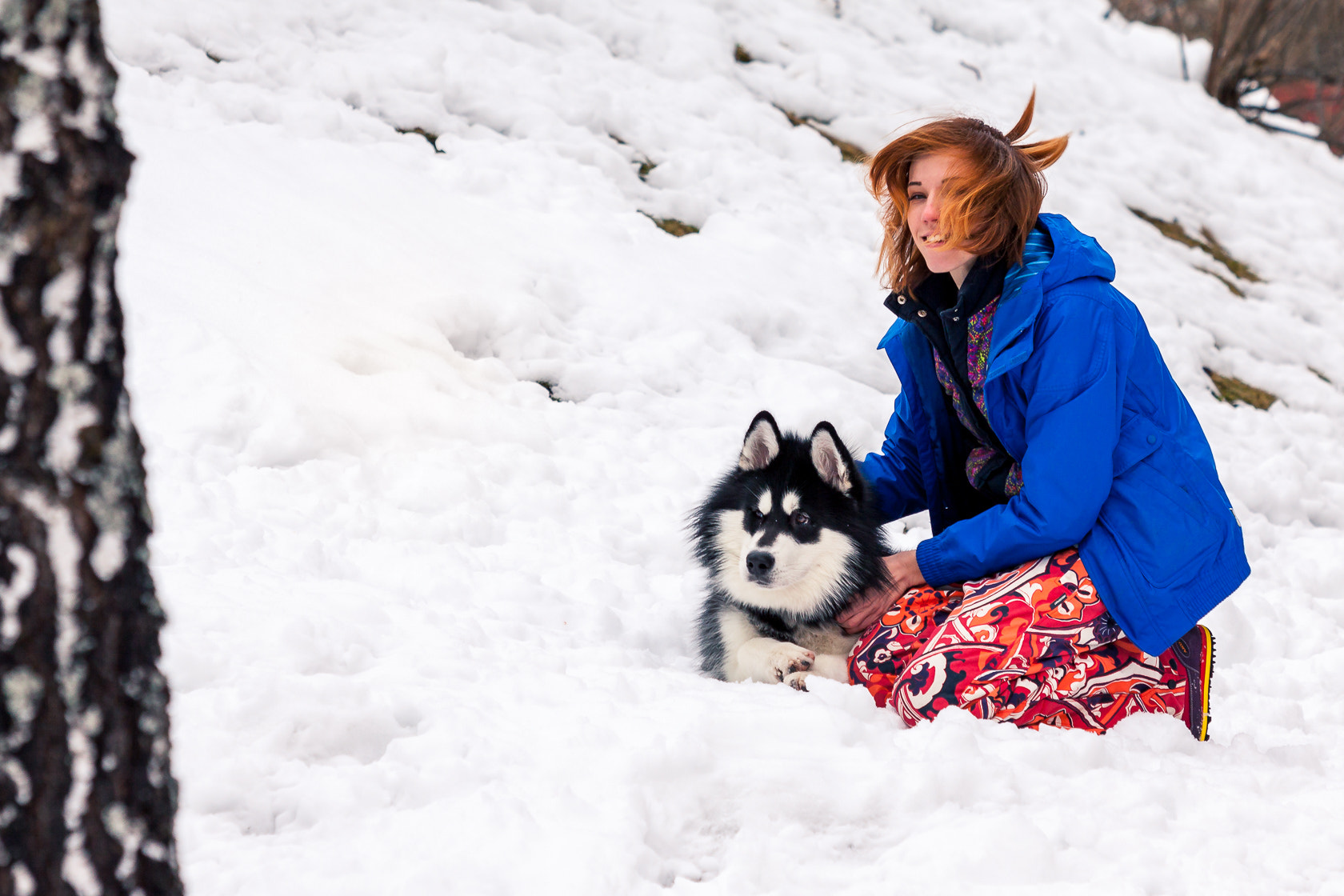 Canon EF 70-200mm F2.8L USM sample photo. Malamute fun photography