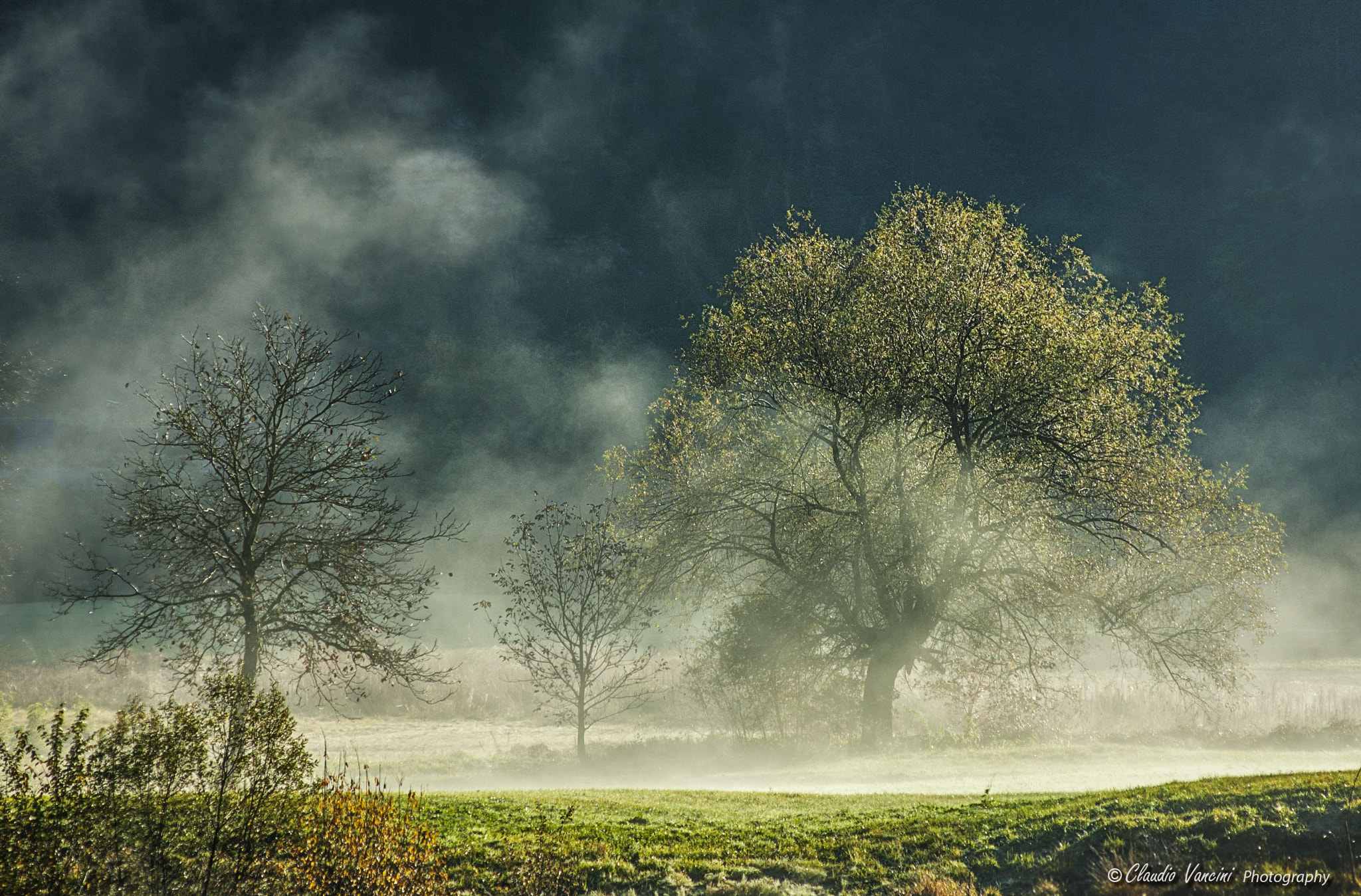 Nikon D70 + AF Nikkor 70-210mm f/4-5.6 sample photo. Misty autumn photography