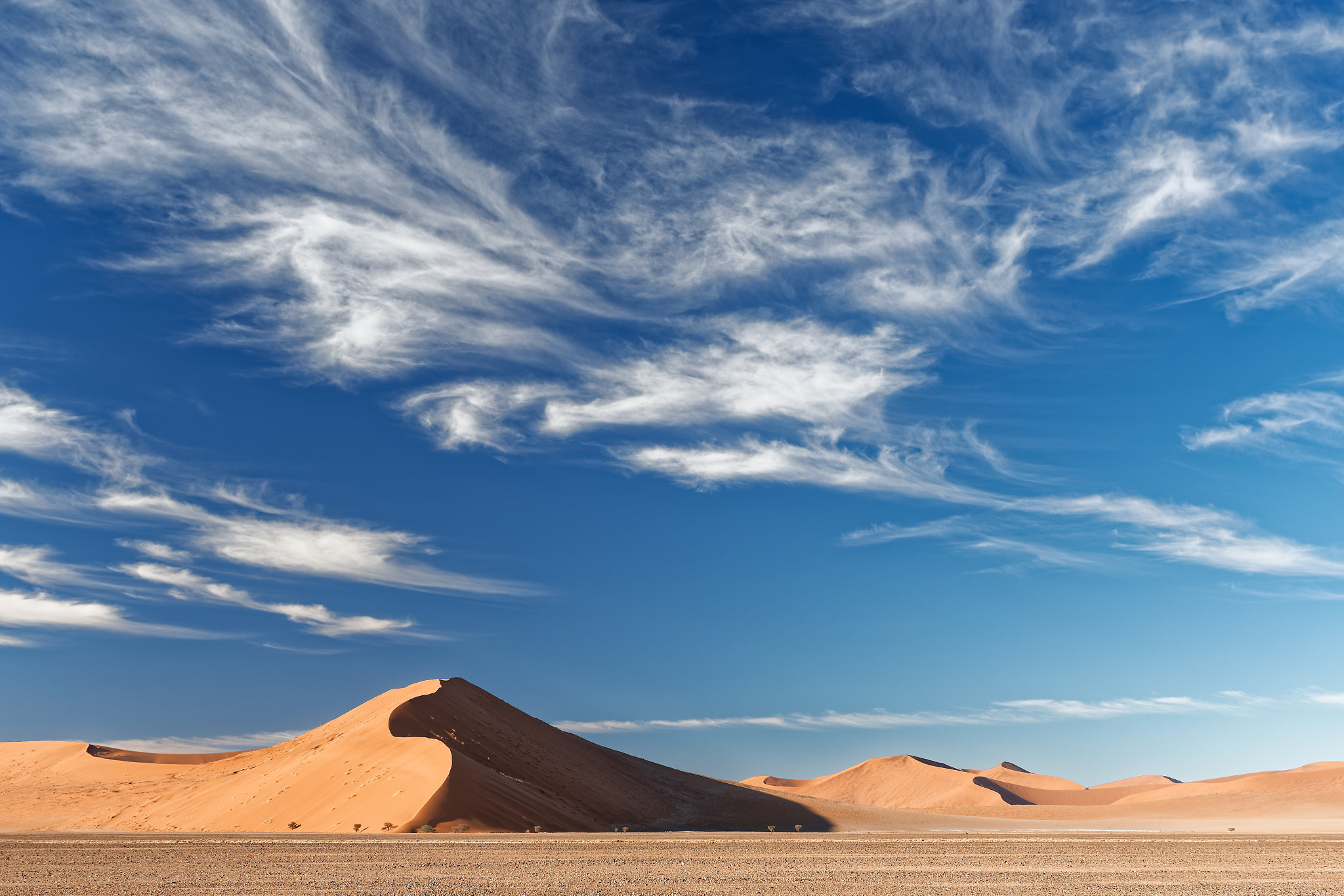 Nikon D500 sample photo. Dune in the desert photography
