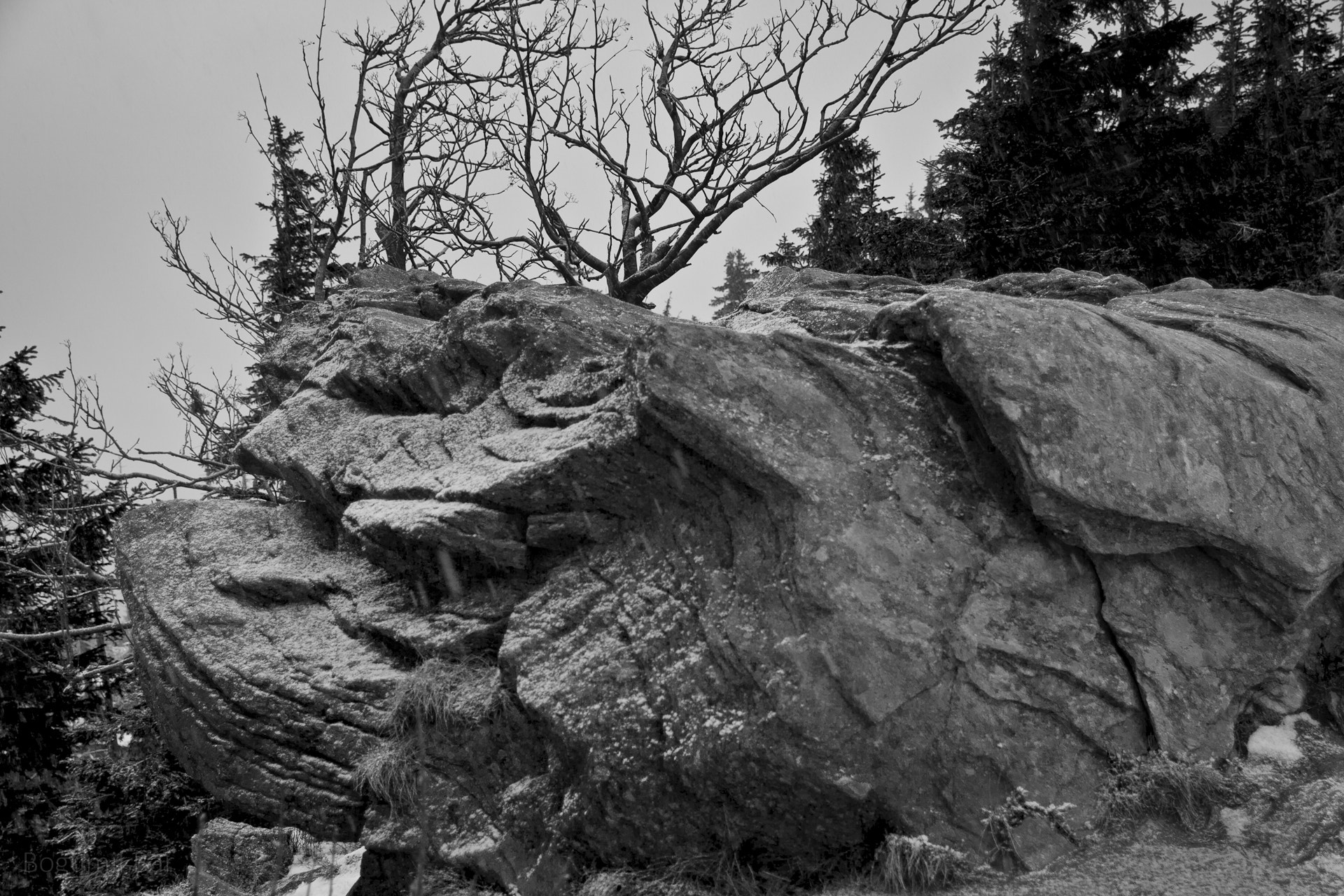 Canon EOS 40D sample photo. Witch photography