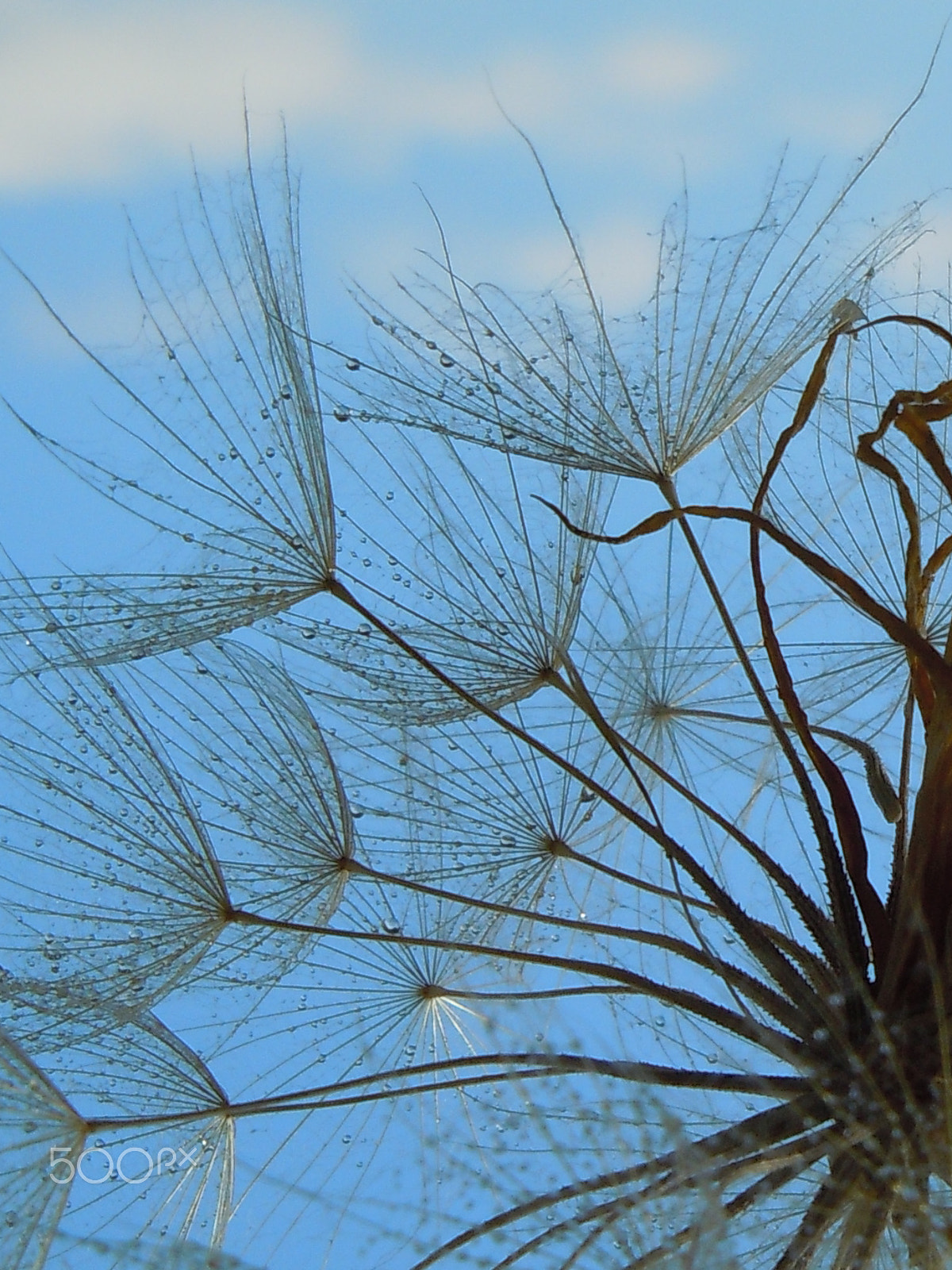 Nikon Coolpix S8000 sample photo. To flight ready ! photography