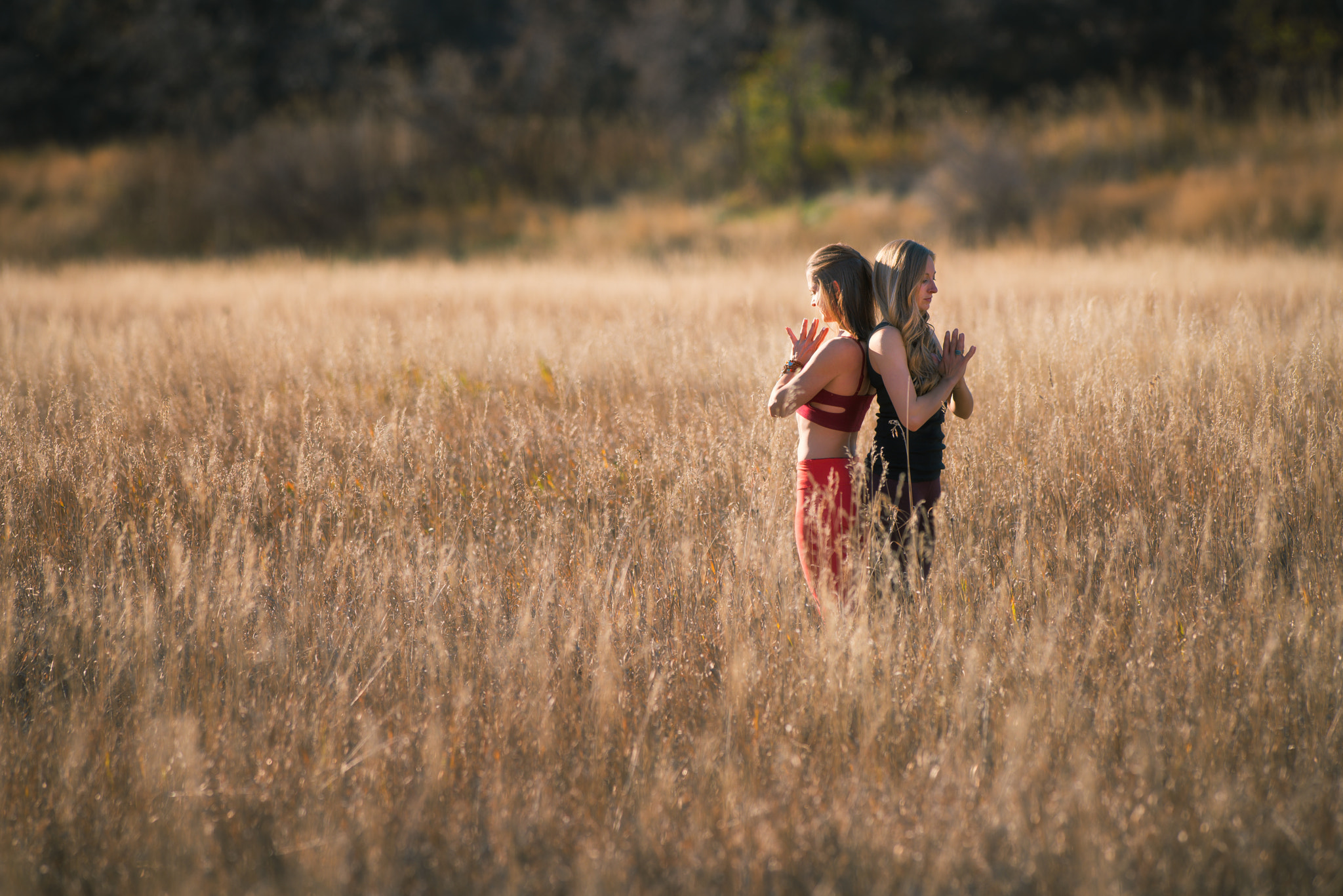 Nikon D810 sample photo. Namaste field photography