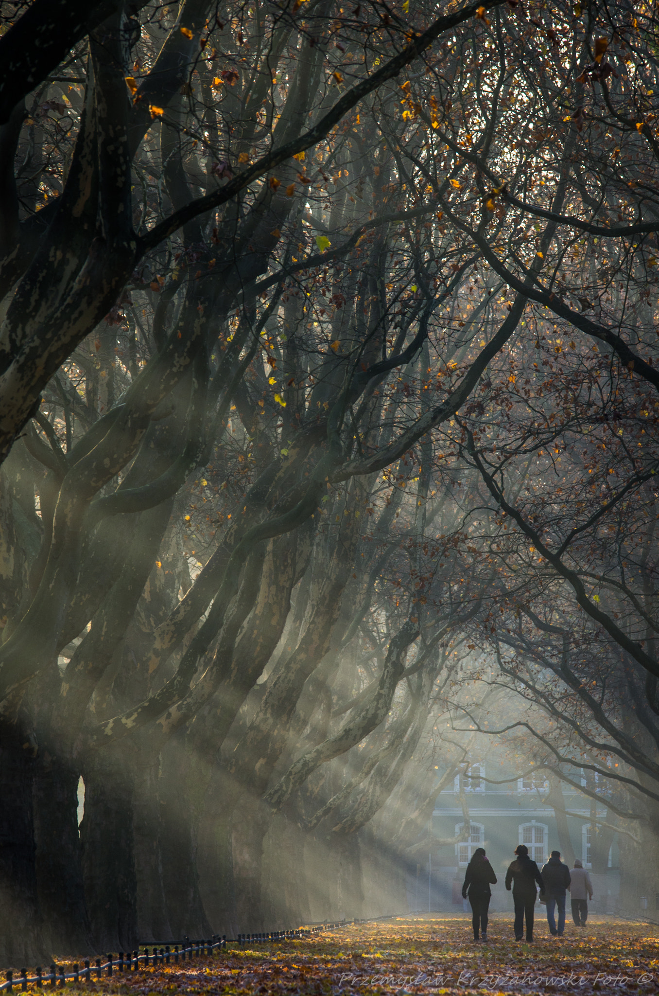 Pentax K-5 sample photo. Lighting in the dark photography