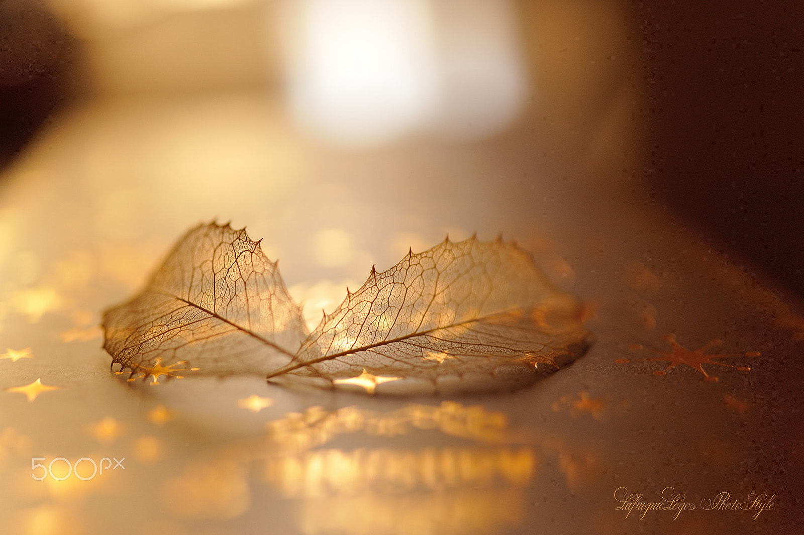 Nikon D700 + Sigma 50mm F2.8 EX DG Macro sample photo. Lyrical in twilight photography