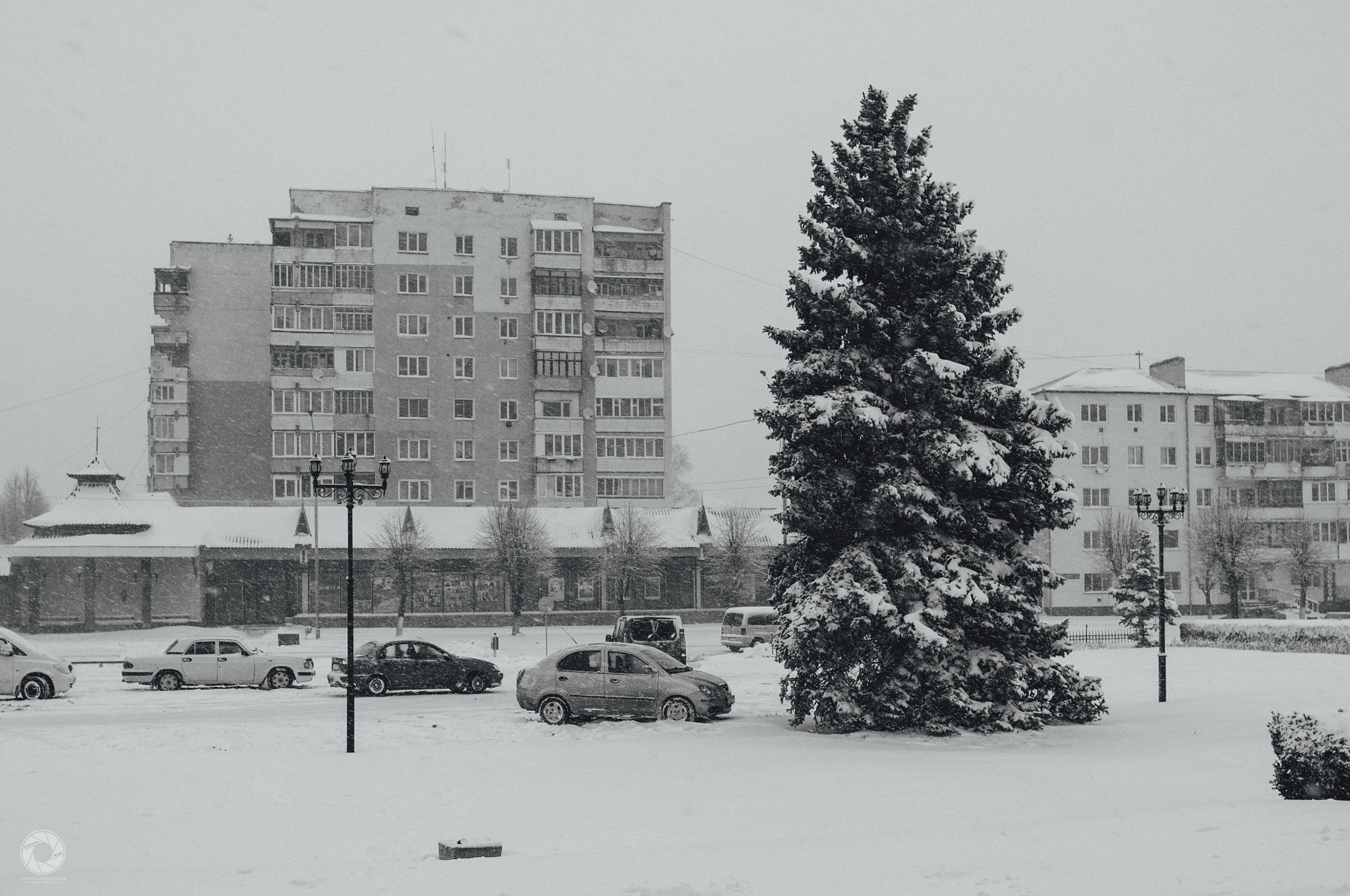 Nikon D90 + Nikon AF-S Nikkor 24mm F1.8G ED sample photo. Winter is close photography