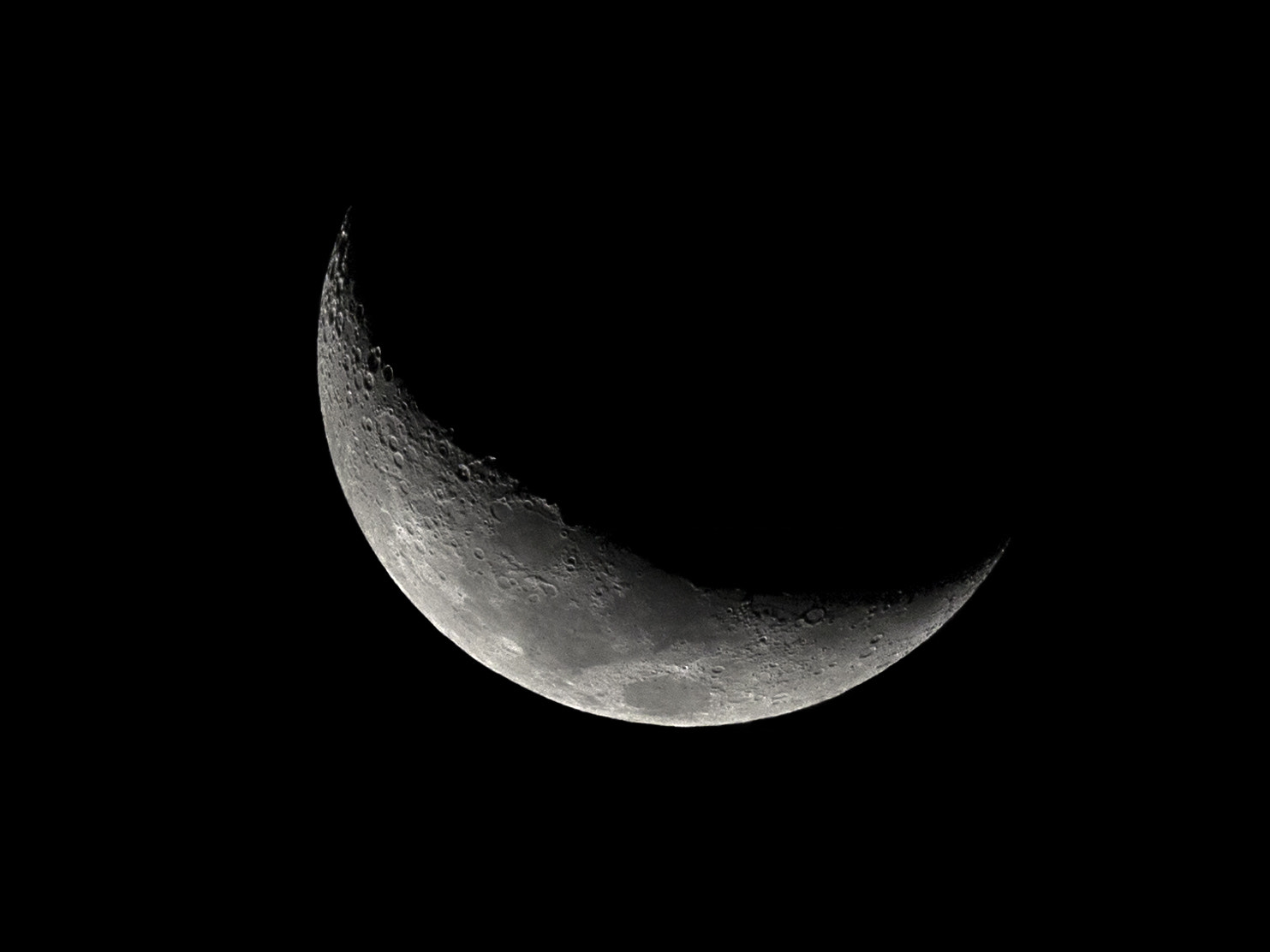 Sigma 150-600mm F5-6.3 DG OS HSM | C sample photo. Crescentmoon photography