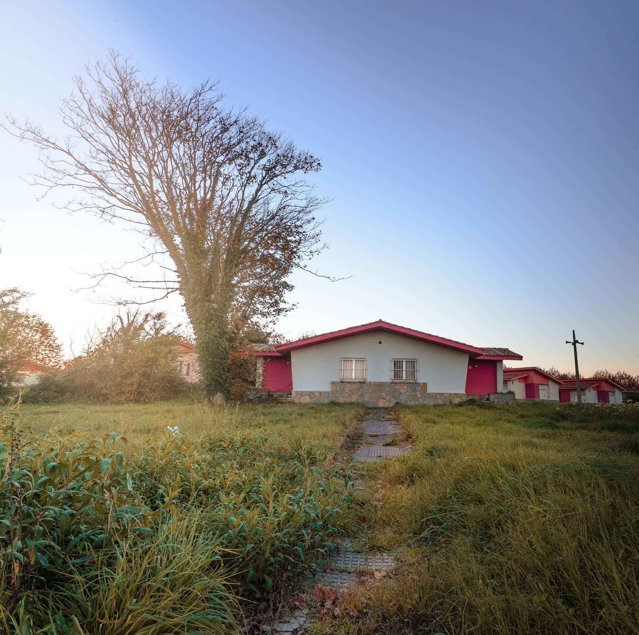 Nikon D610 + Tokina AT-X 16-28mm F2.8 Pro FX sample photo. Camino a casa photography