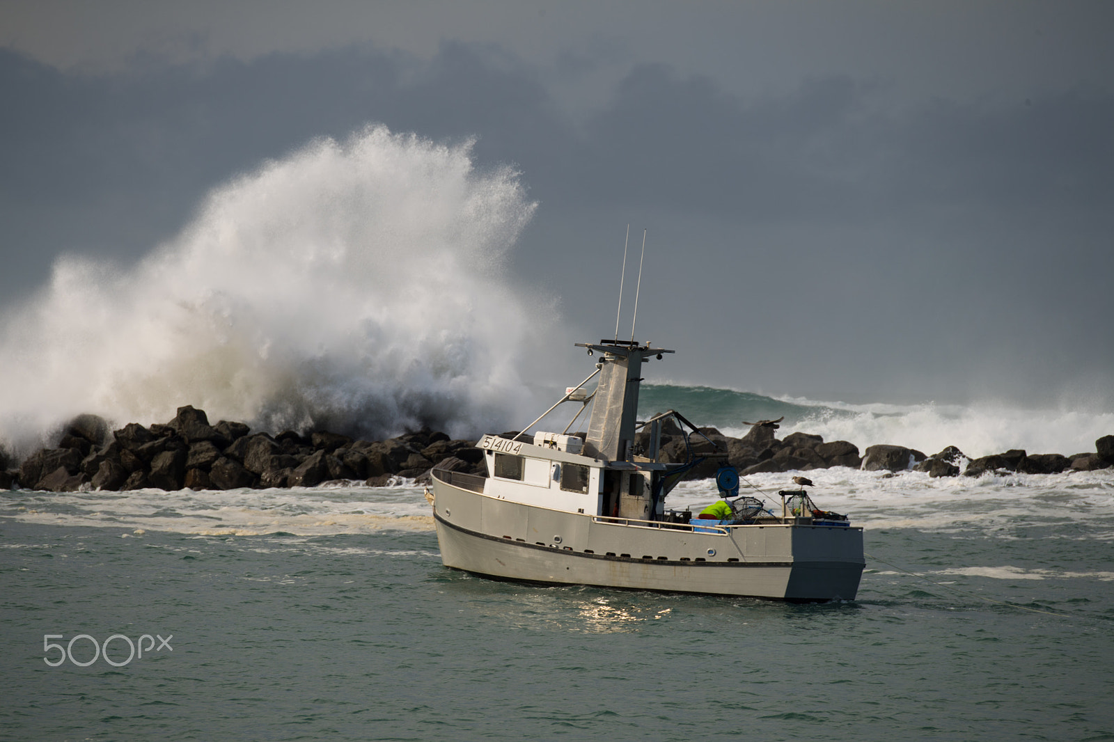 Nikon D5 sample photo. Perilous position photography